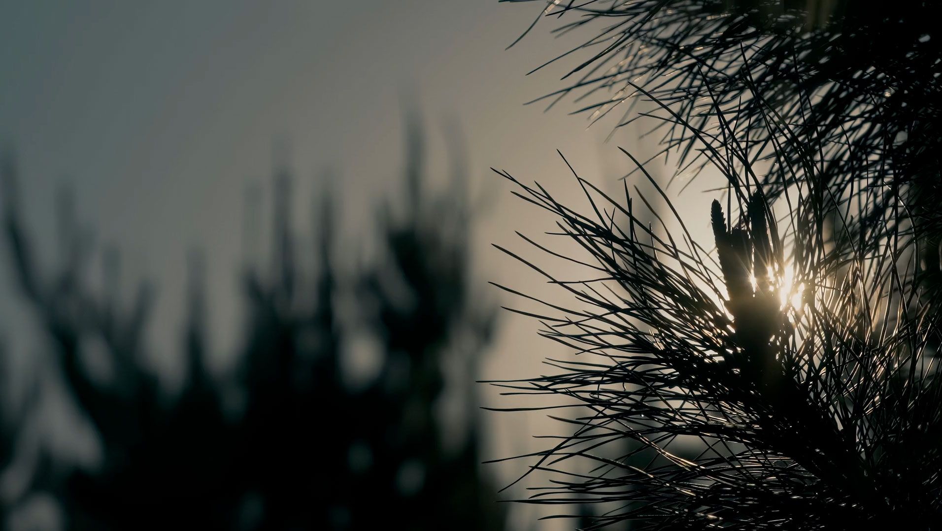 Close up of a tradie's tool belt, walking on site