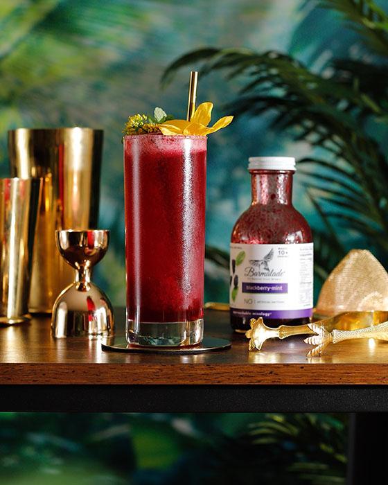 barmalade_sparkling_blackberry_lemonade_featured_image.jpg