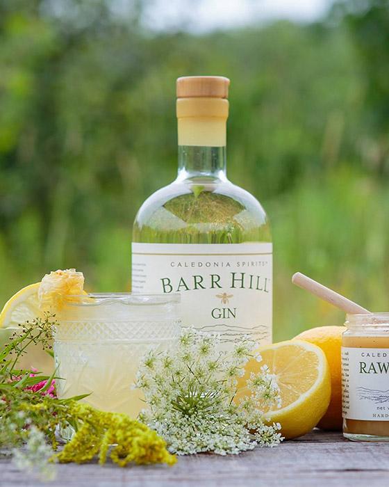 barr_hill_gin_bees_knees_featured_image.jpg