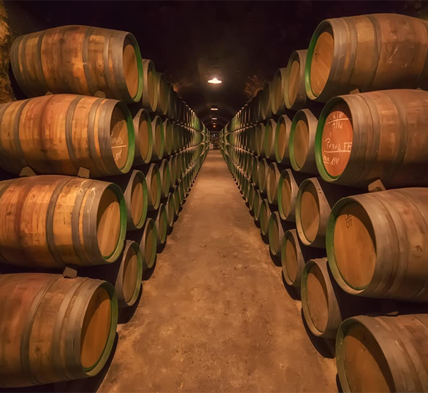 The Ultimate Guide to Spanish Wine Regions