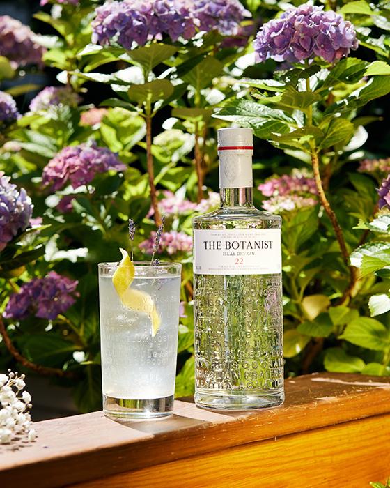The Botanist Elder Tonic Featured Image.jpg