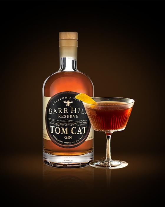 barr-hill-gin-martinez-featured-image.jpg