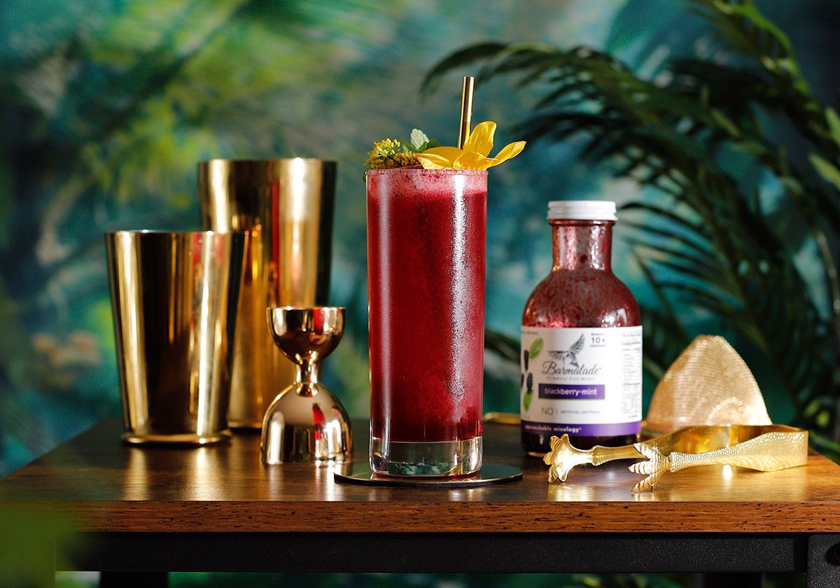 Sparkling Blackberry Lemonade