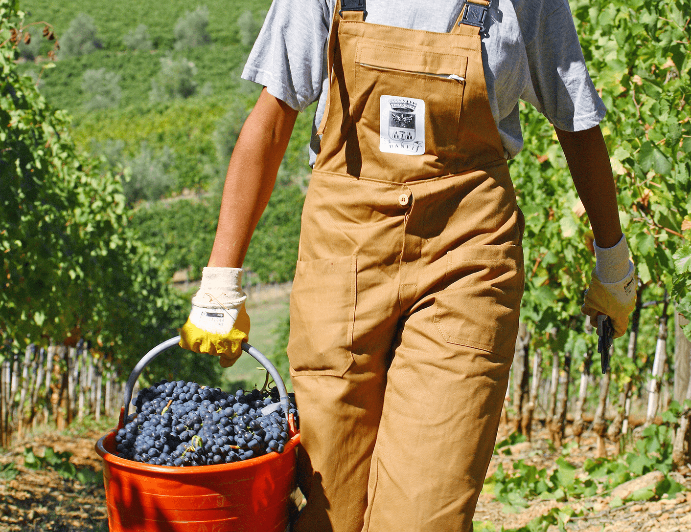 20220811_Artistry_of_Winemaking_Editorial_split_3.png