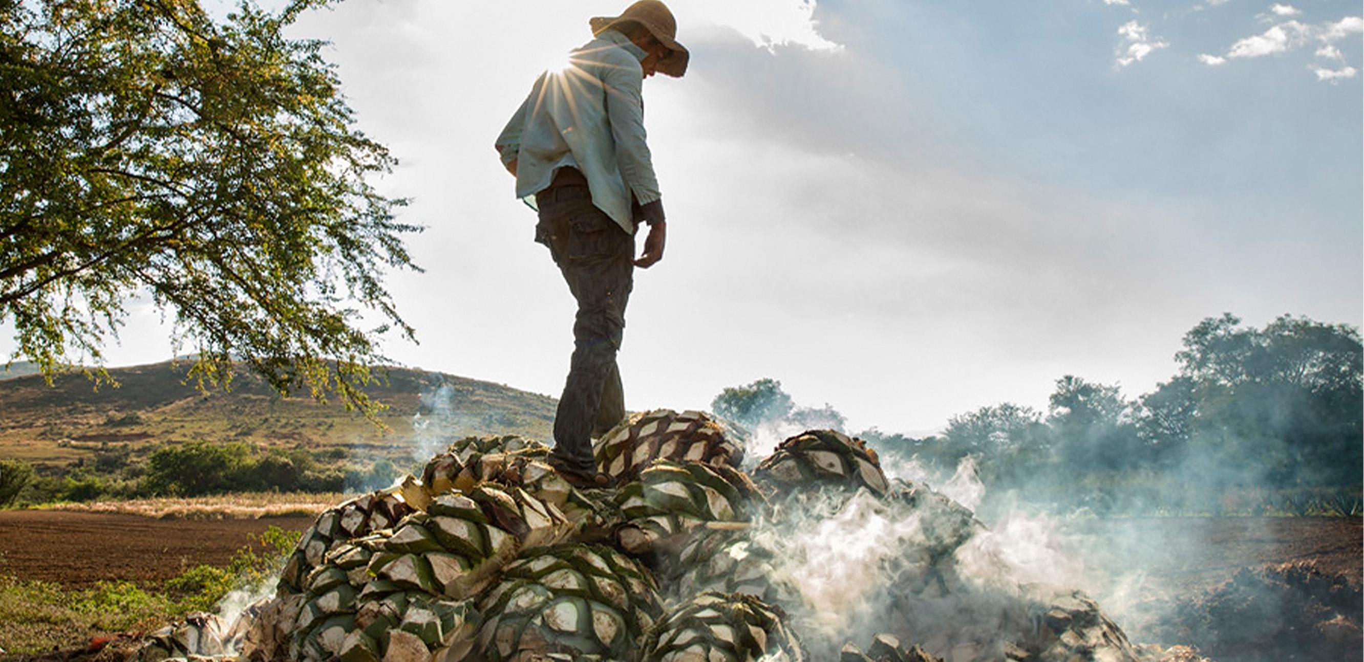 20220912_Del_Maguey_Editorial_Hero_Desktop.jpg