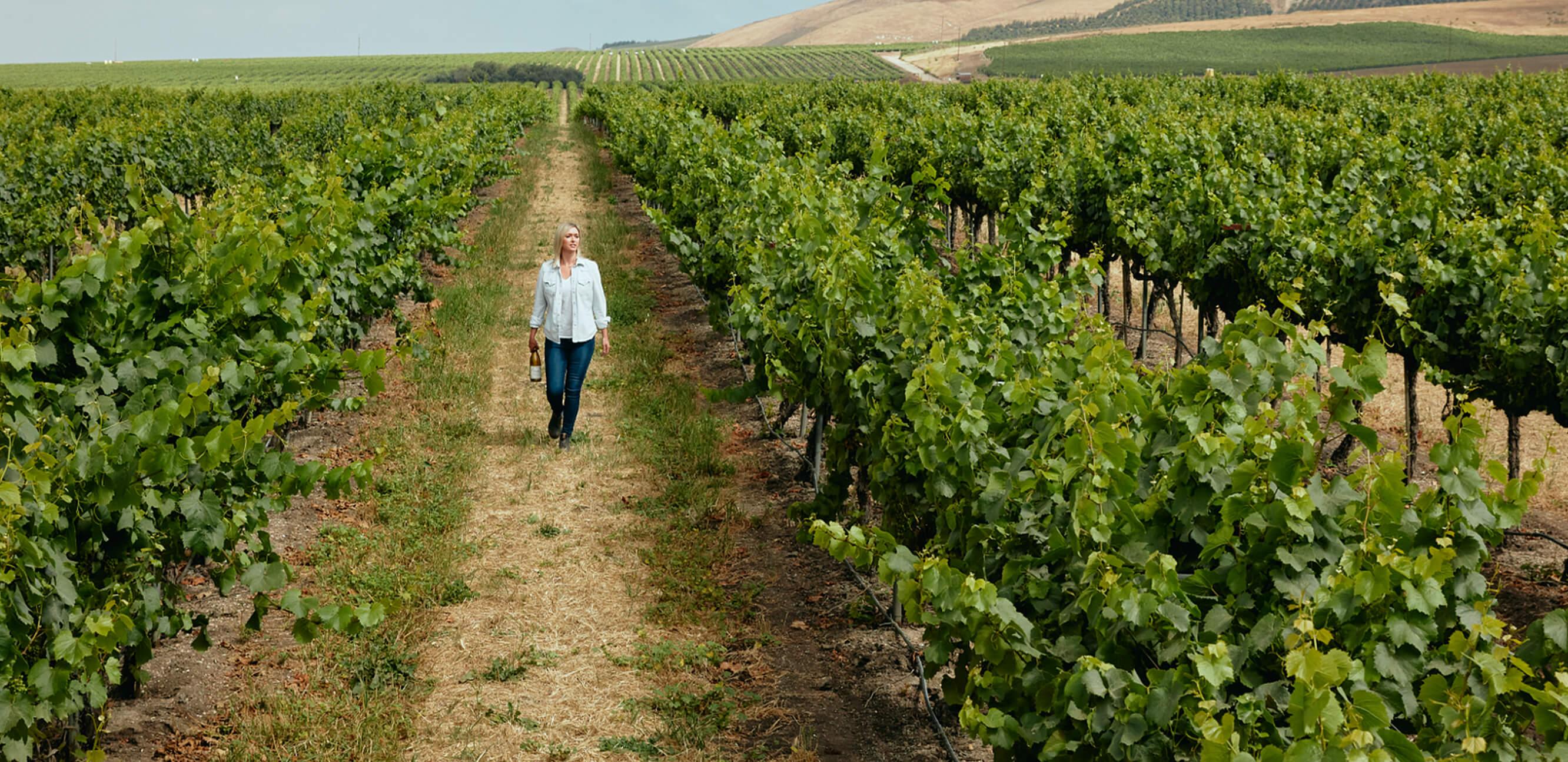20220811_Artistry_of_Winemaking_Editorial_Hero_Desktop (2).jpg