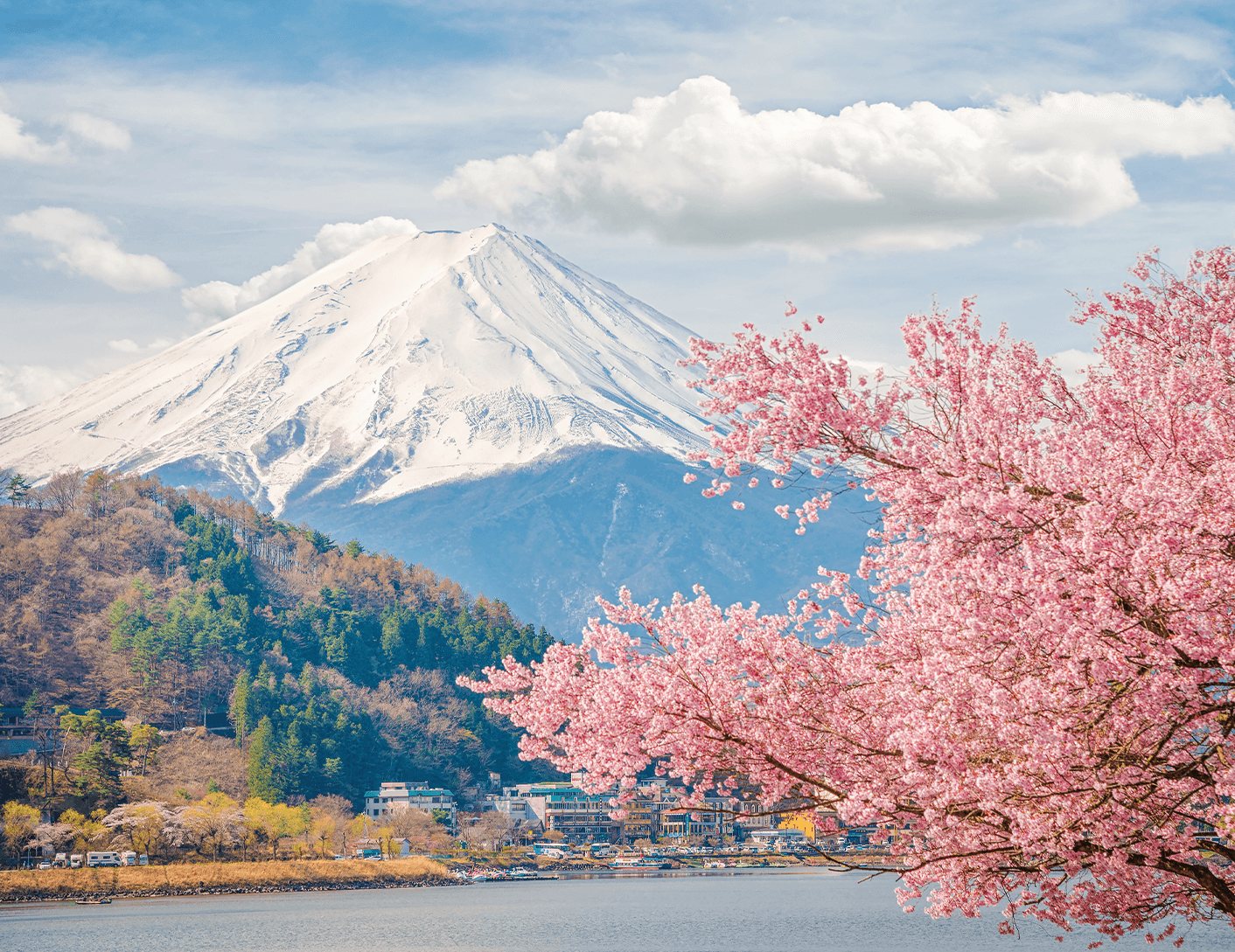 20230103_Roku_Cherry_Blosson_split_1.png