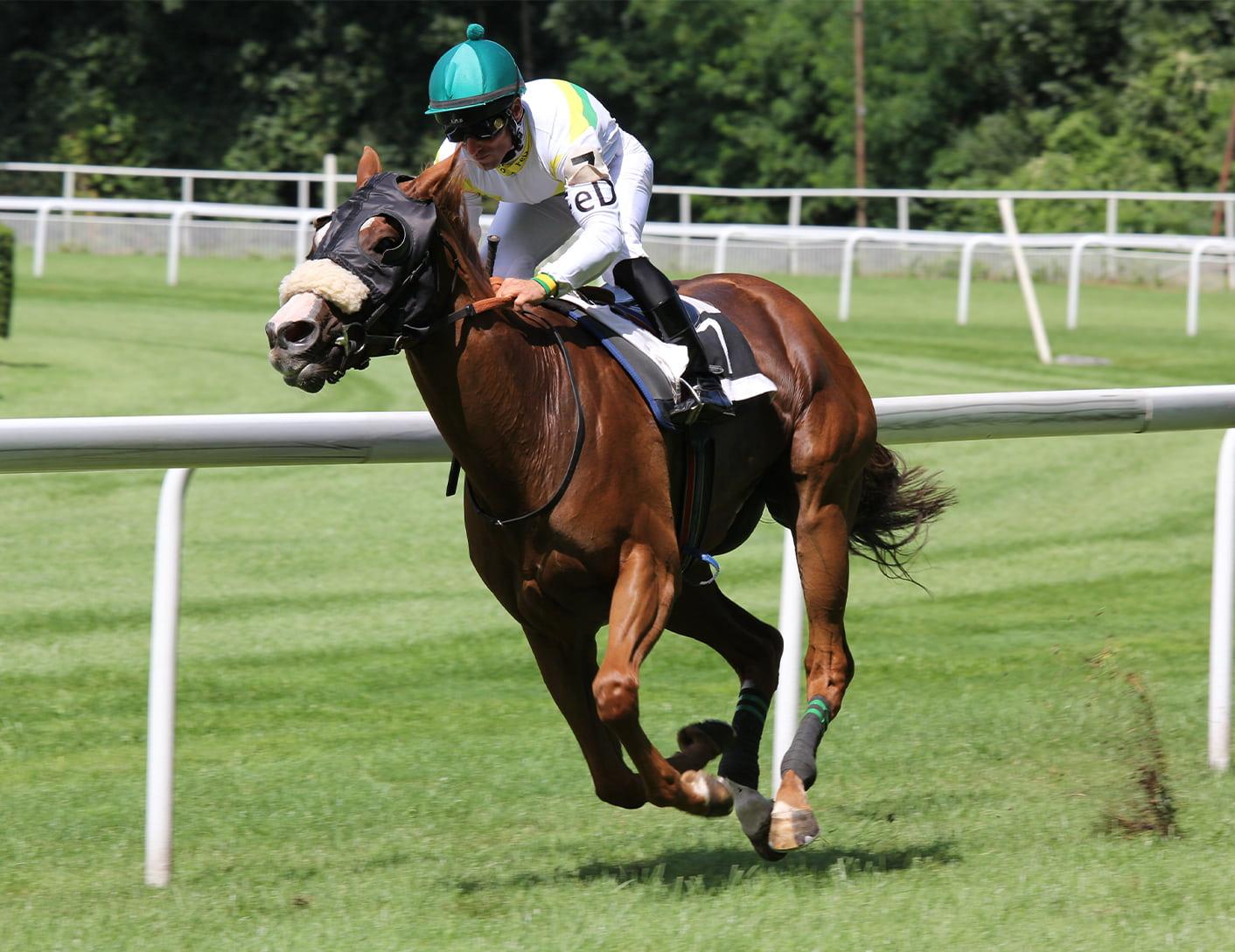 20220407_Derby_and_the_Julep_Editorial_split_2.jpg