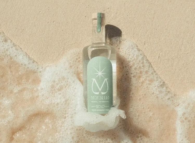 Explore Mezcal
