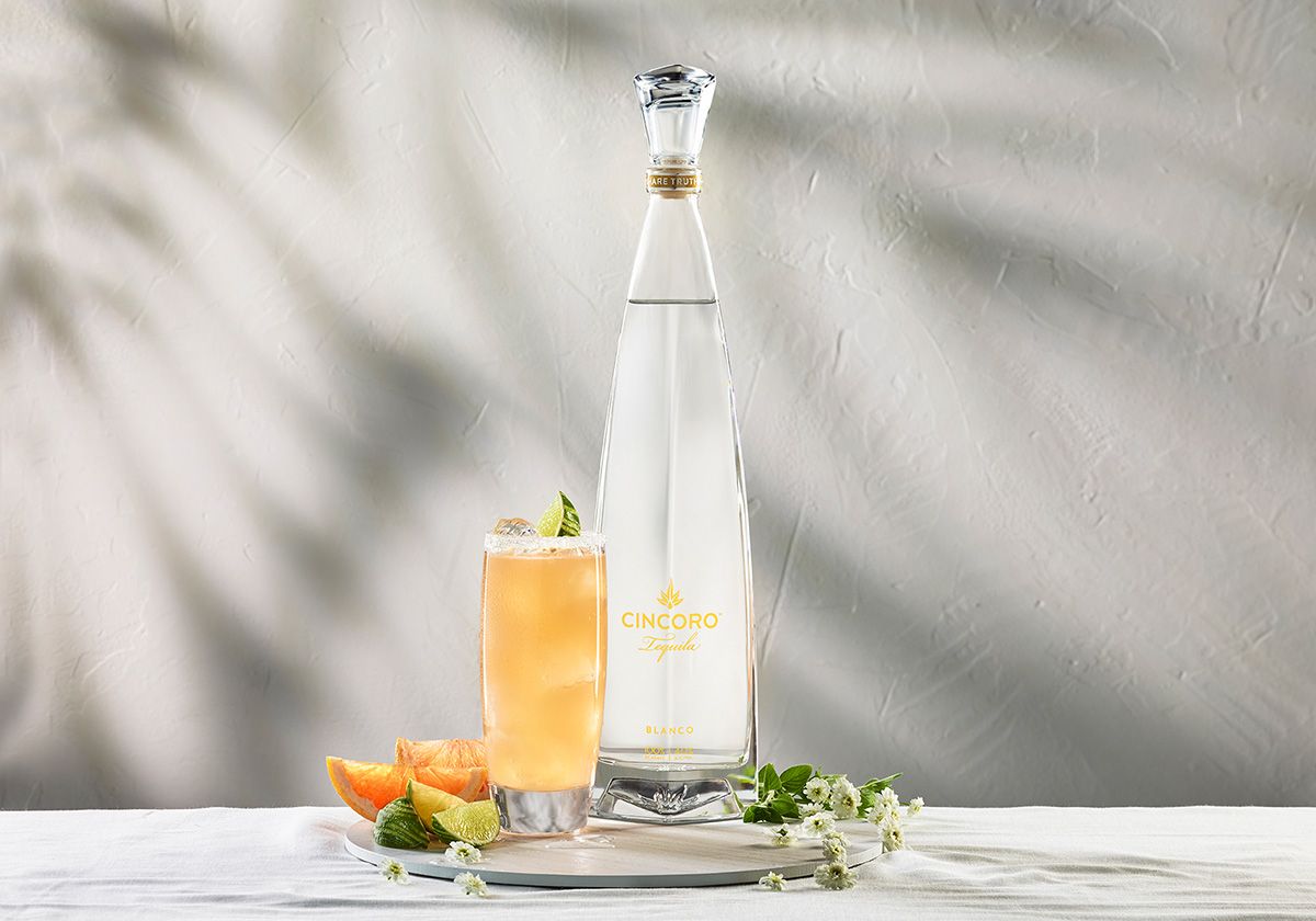 The Classic Paloma
