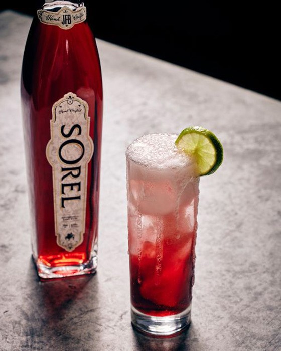 sorel_hibiscus_mule_featured_image.jpg