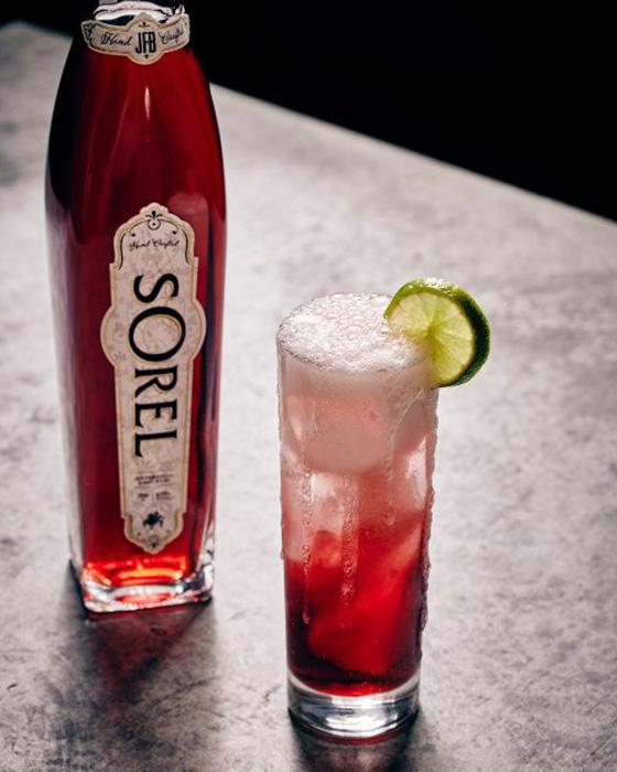 sorel_hibiscus_mule_featured_image.jpg