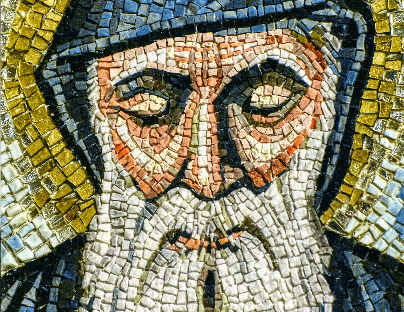 20230103_st._patricks_split_3.png