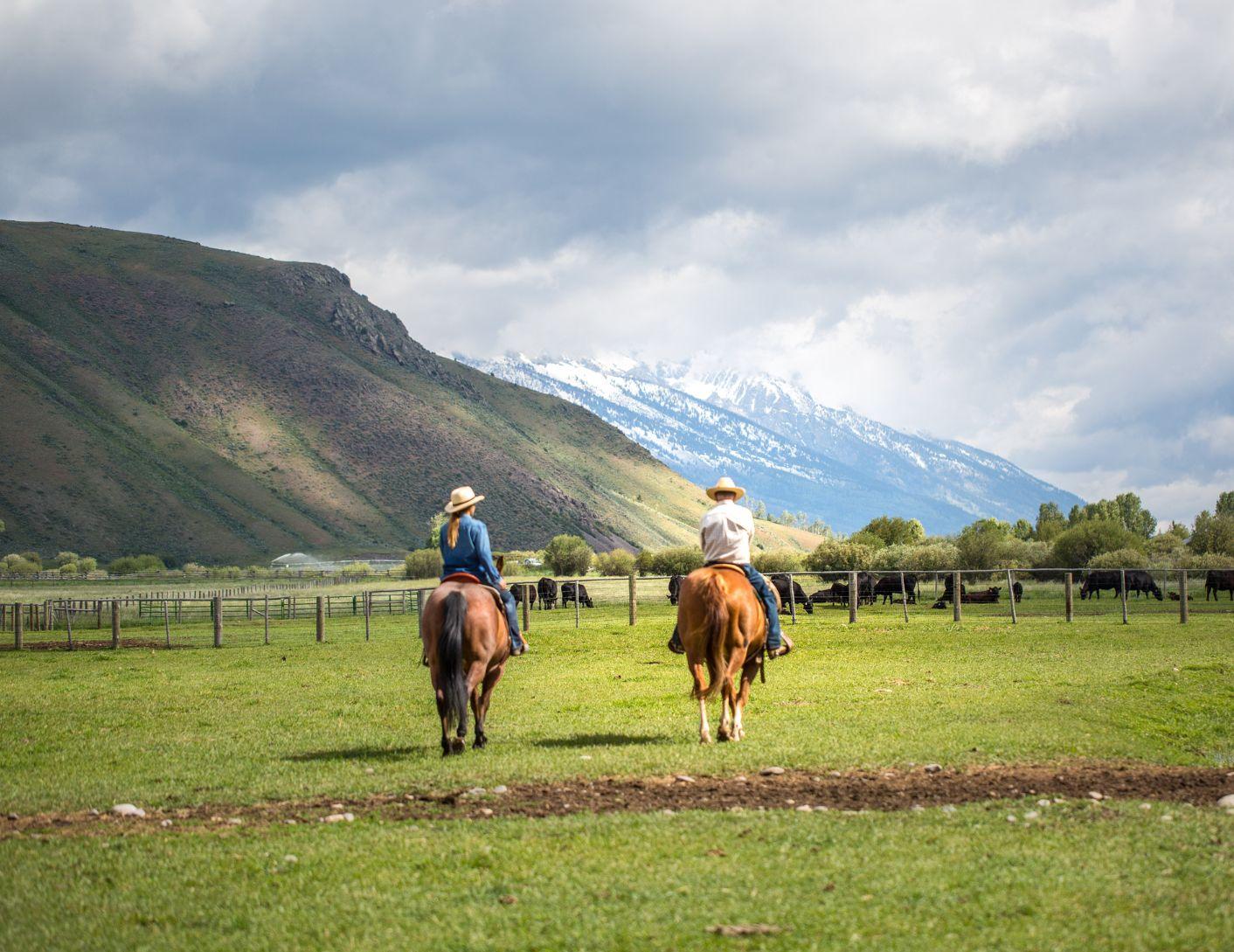 wyoming-split-tout-10.jpg