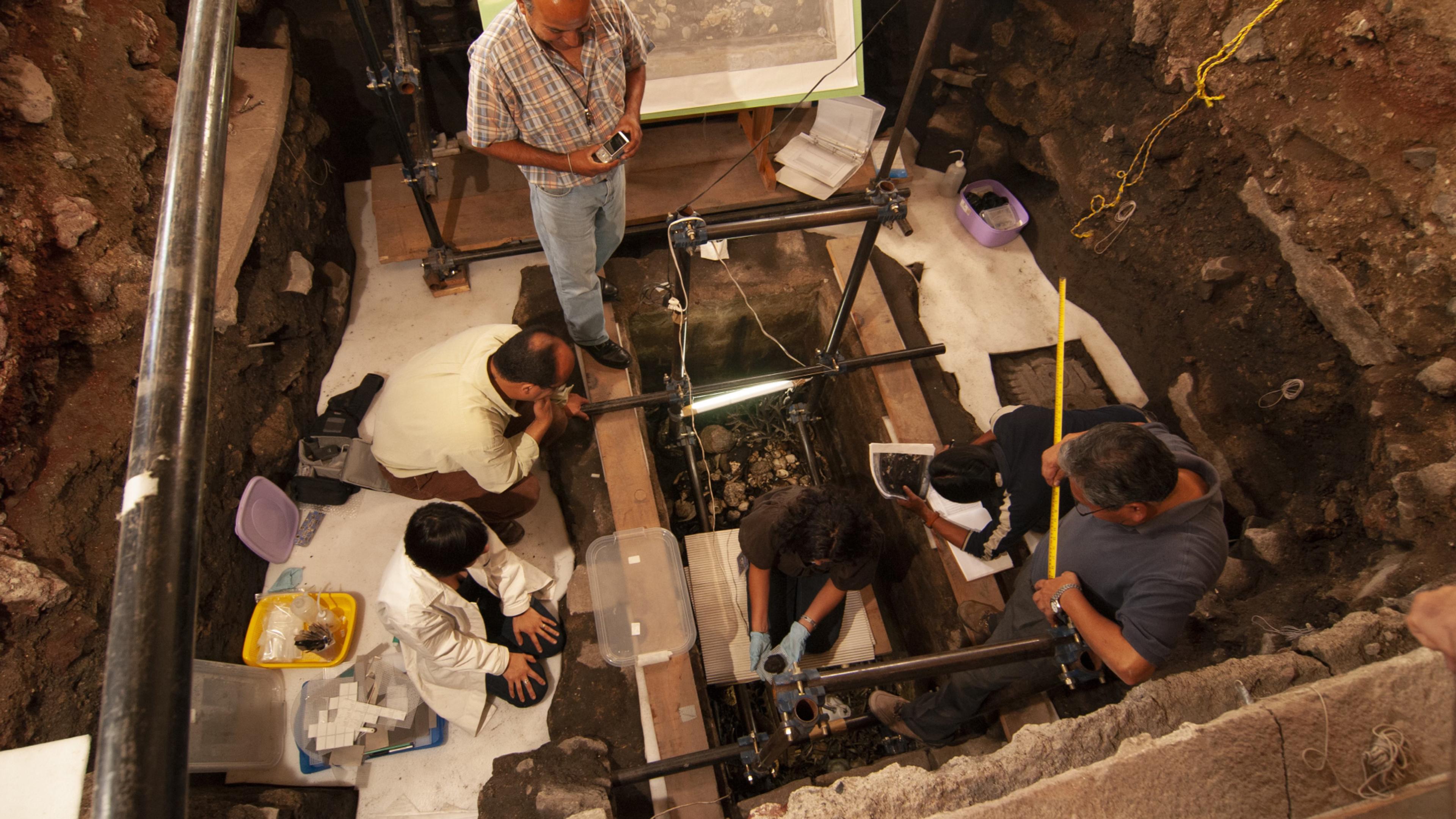 Several people with research tools look down into a scaffolded dugout in the ground.