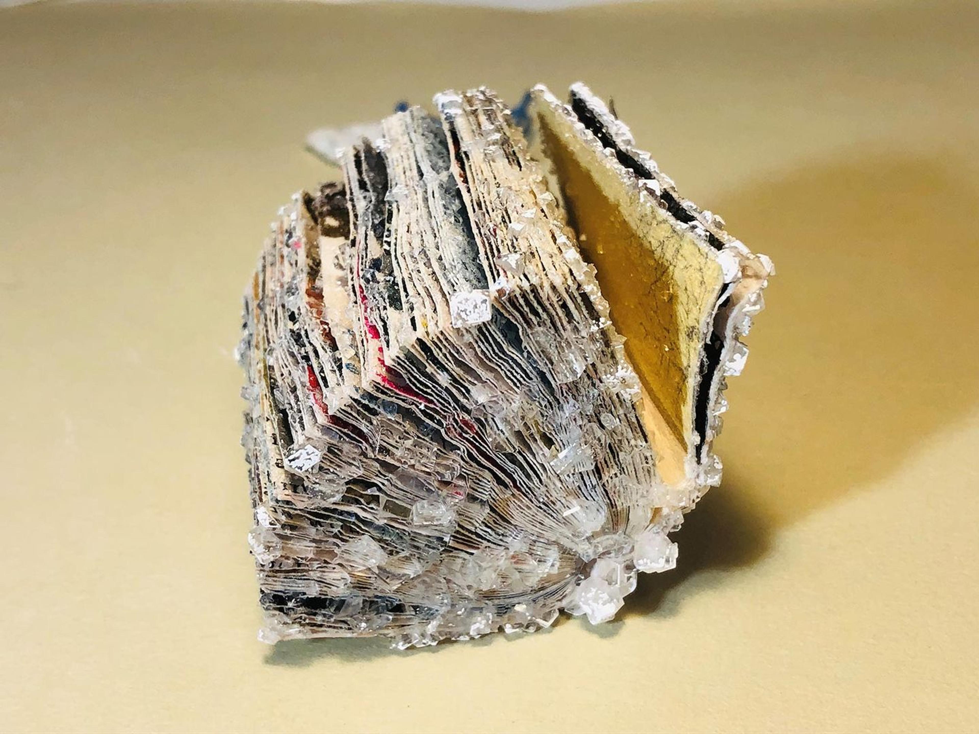 Result of experiment - Salt-encrusted book