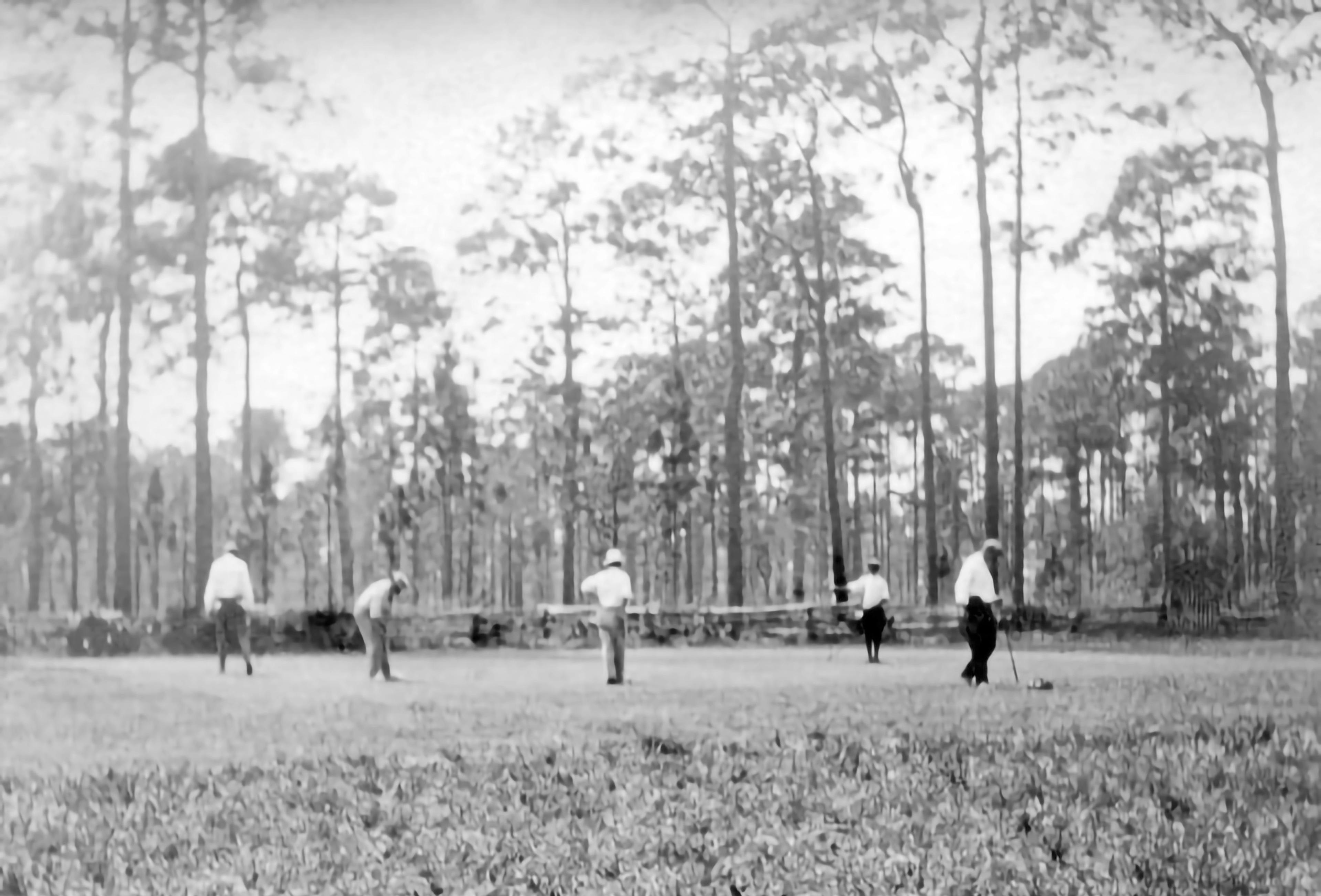 Black-and-white photo of several people playing golf on an open field with tall trees in the background.