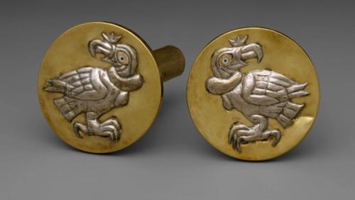 Image for Birds of the Andes