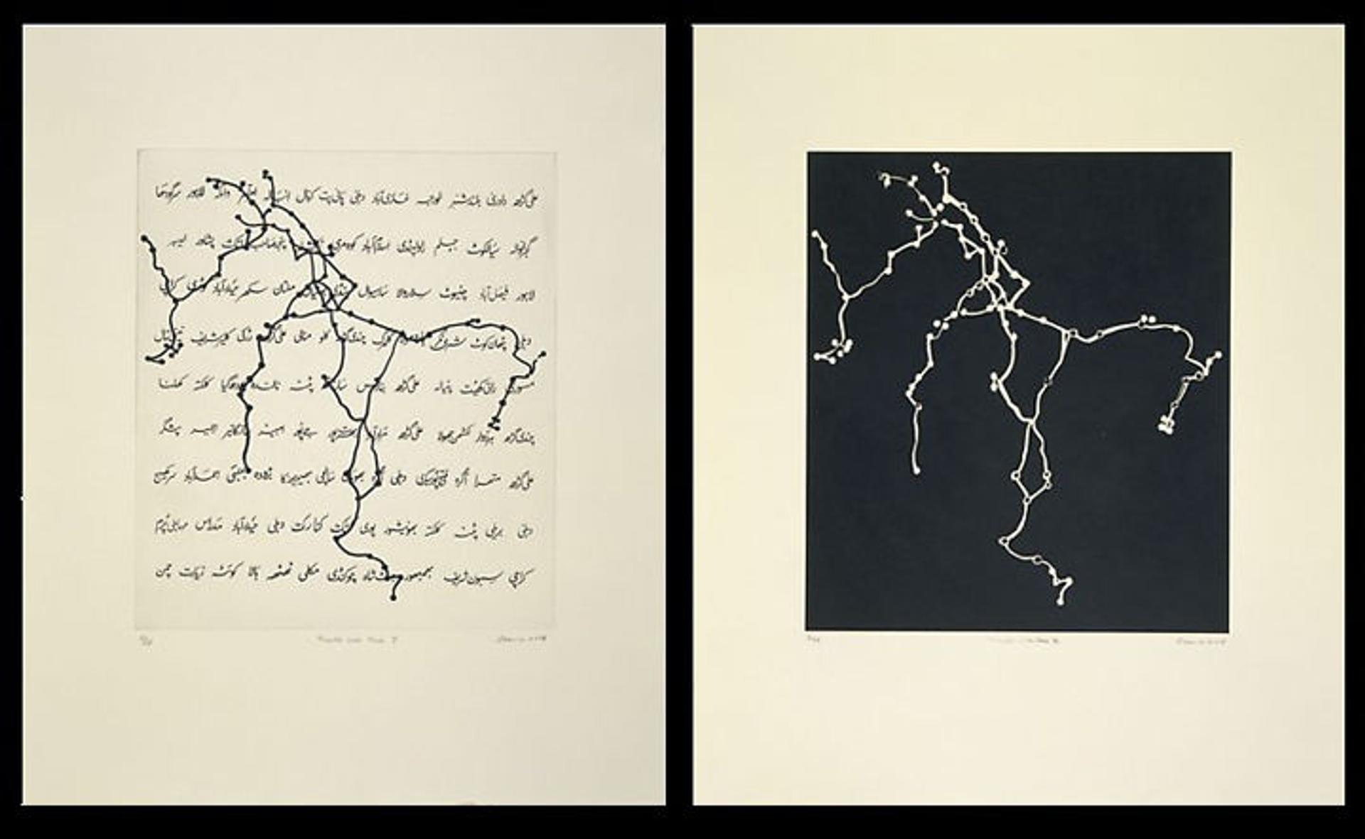 Seven Questions for Zarina Hashmi - The Metropolitan Museum of Art