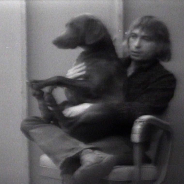 No Dogs Allowed: How William Wegman Broke the Rules of Conceptual