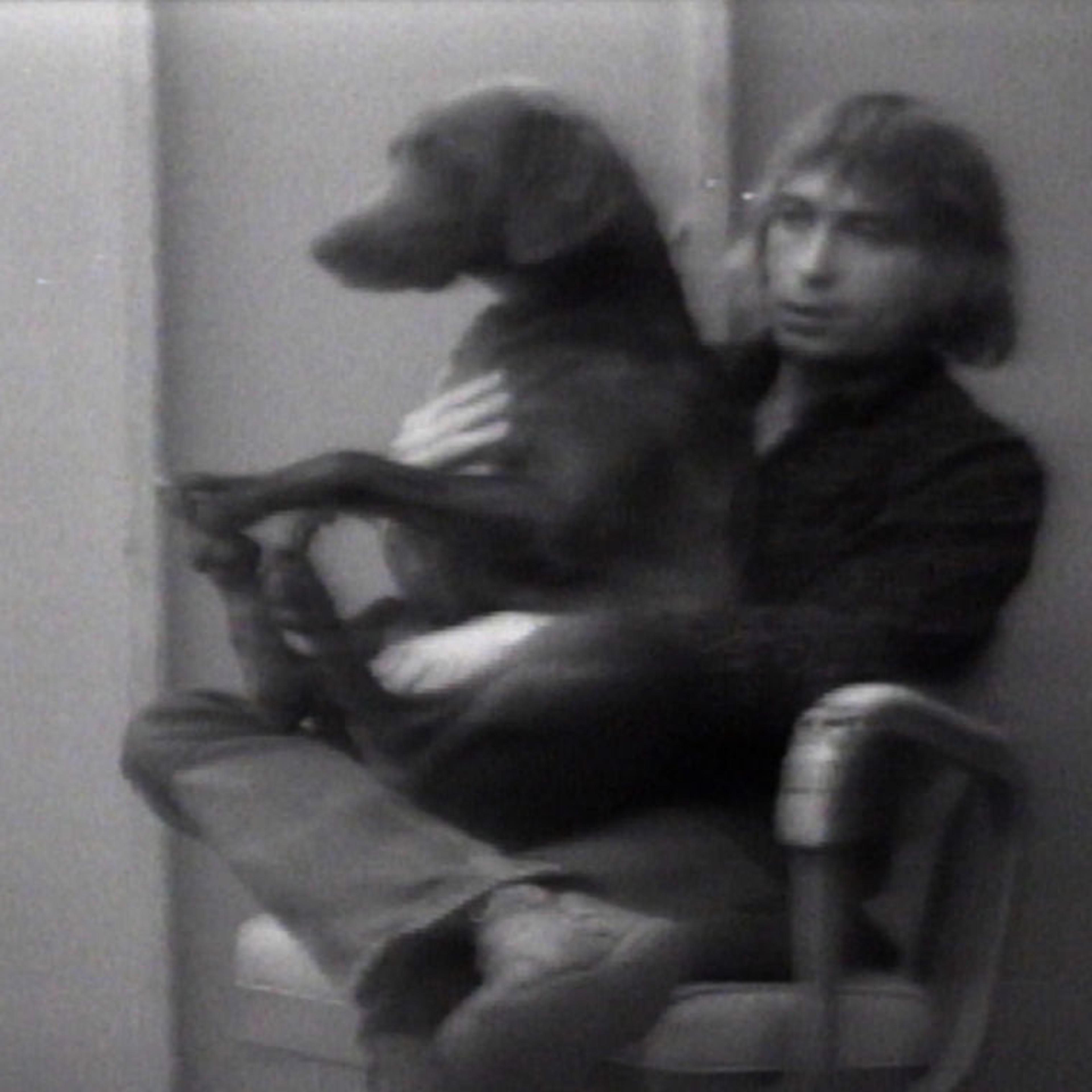 Doug Eklund on Before/On/After: William Wegman and California Conceptualism