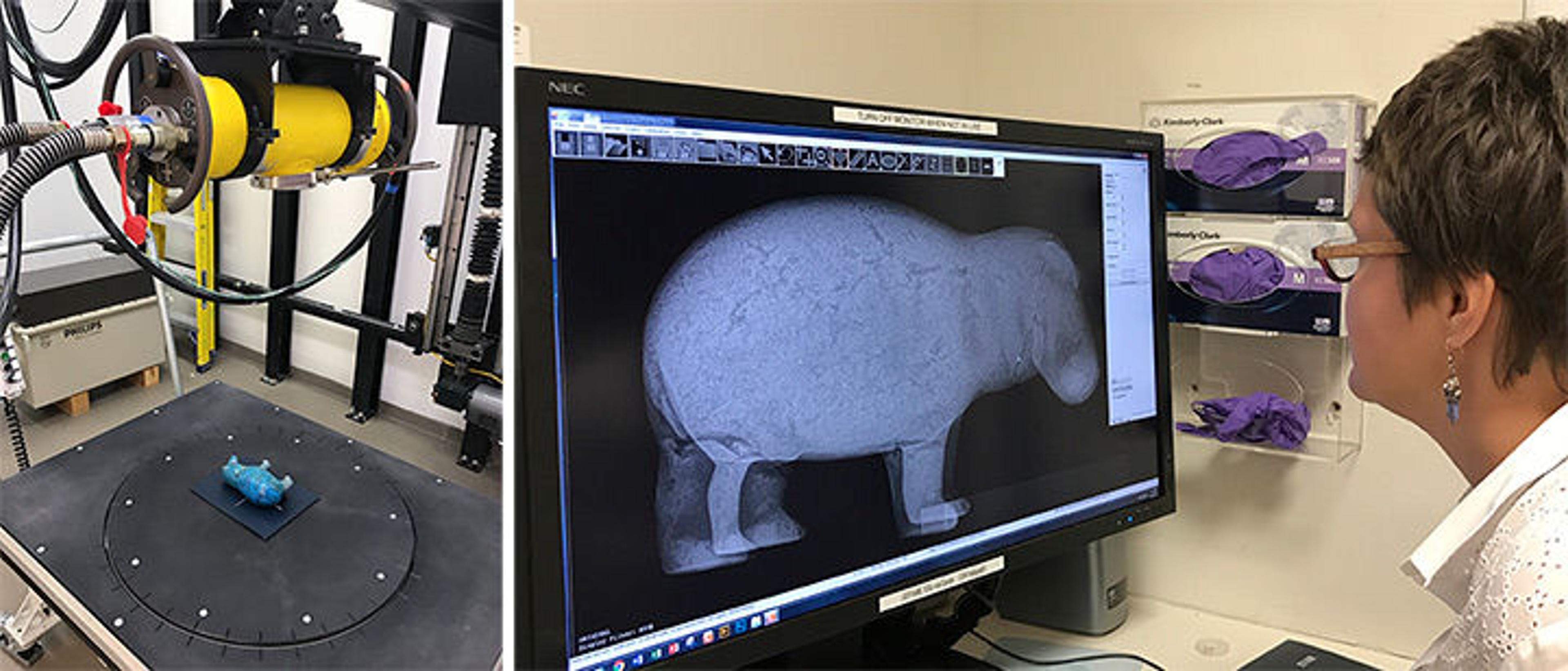 Little blue hippo under a big X-ray machine and X-ray of hippo on a computer screen