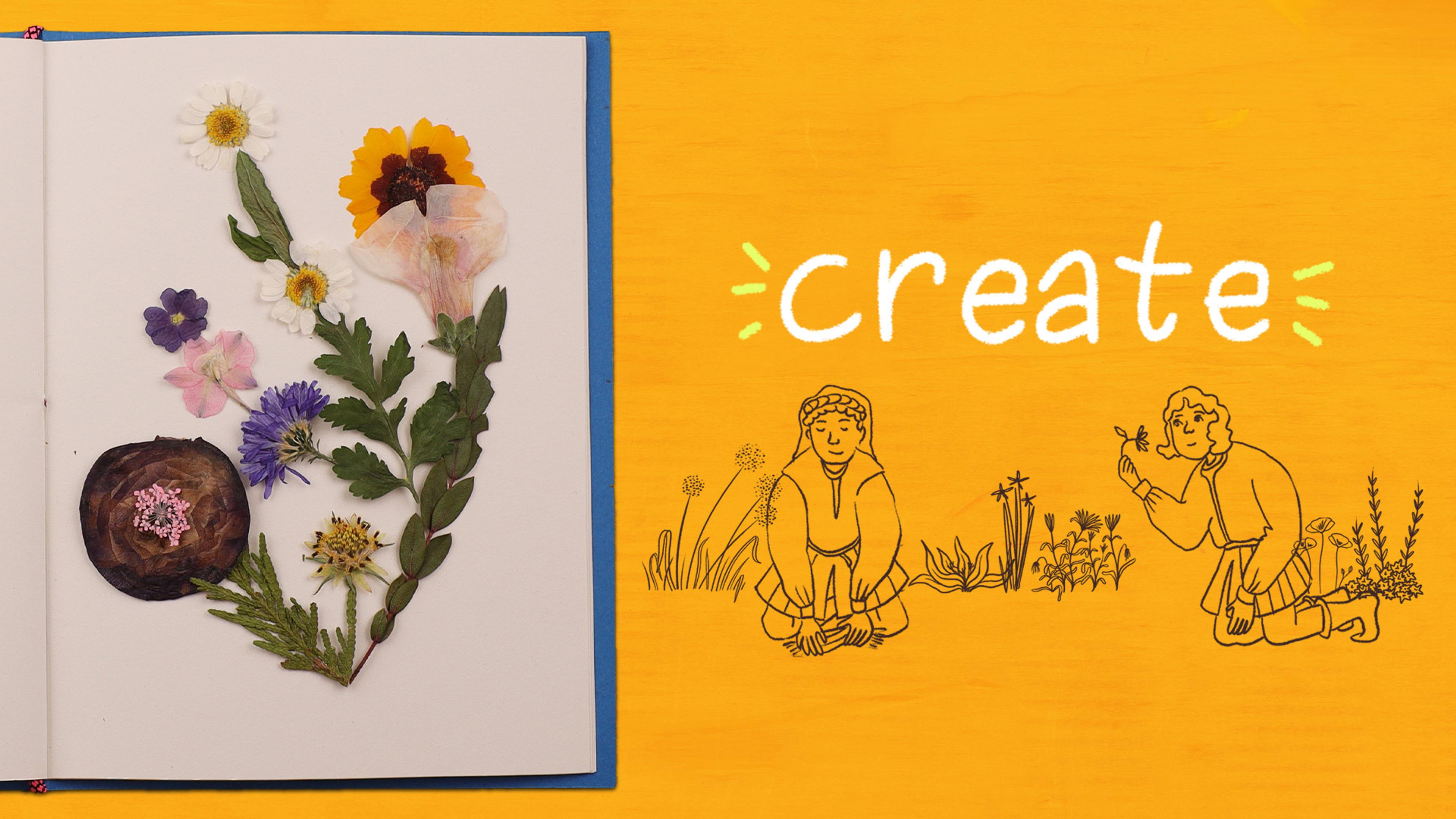 A page of pressed flowers and a drawing of medieval botanists examining plants on an orange background with the word "create."