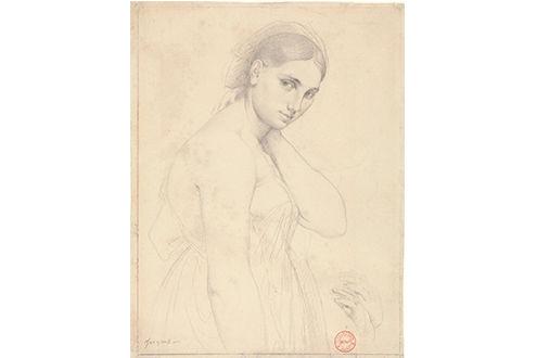 Leonardo to Matisse: Master Drawings from the Robert Lehman Collection