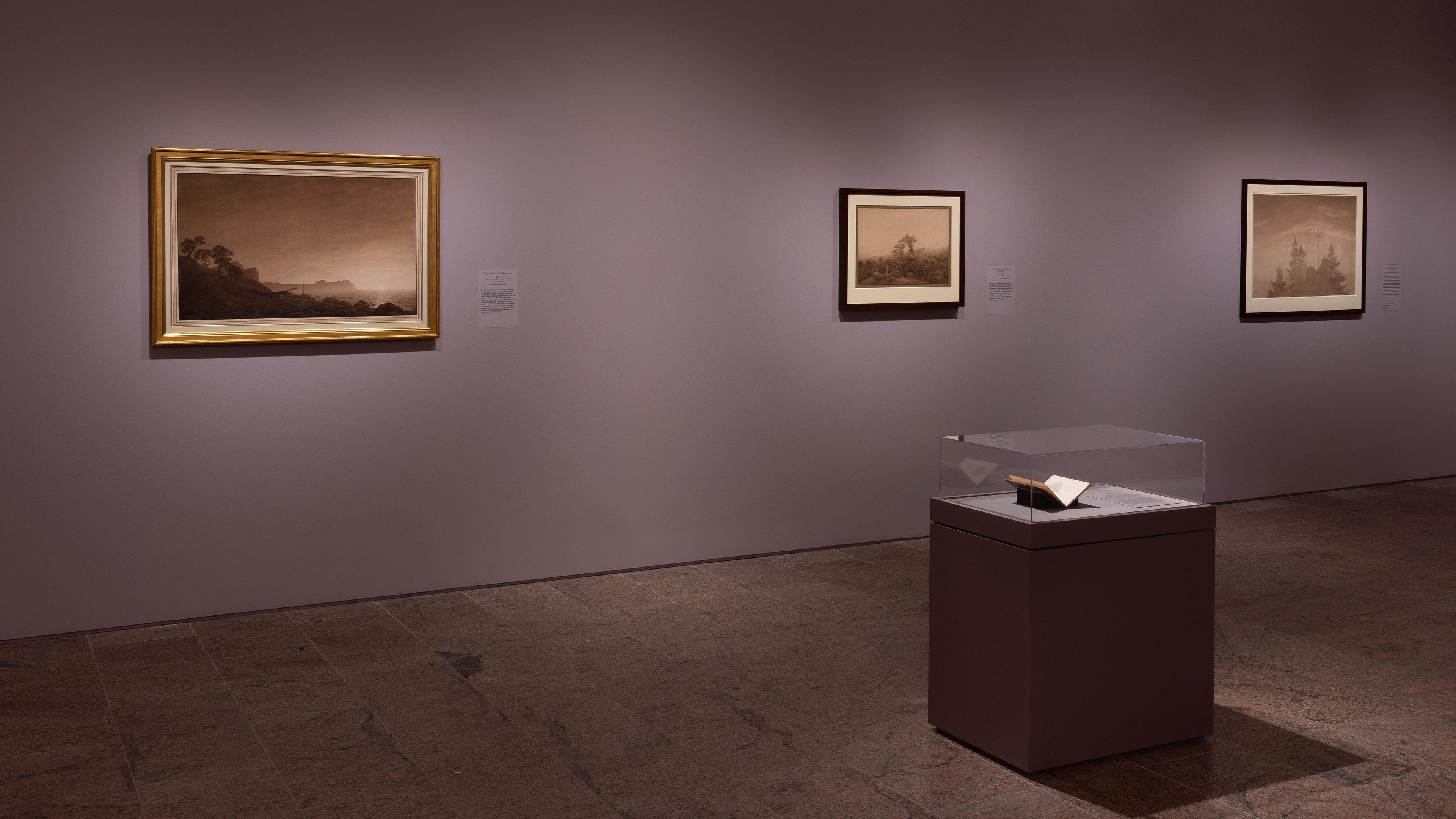 Wall gallery view with paintings hanging
