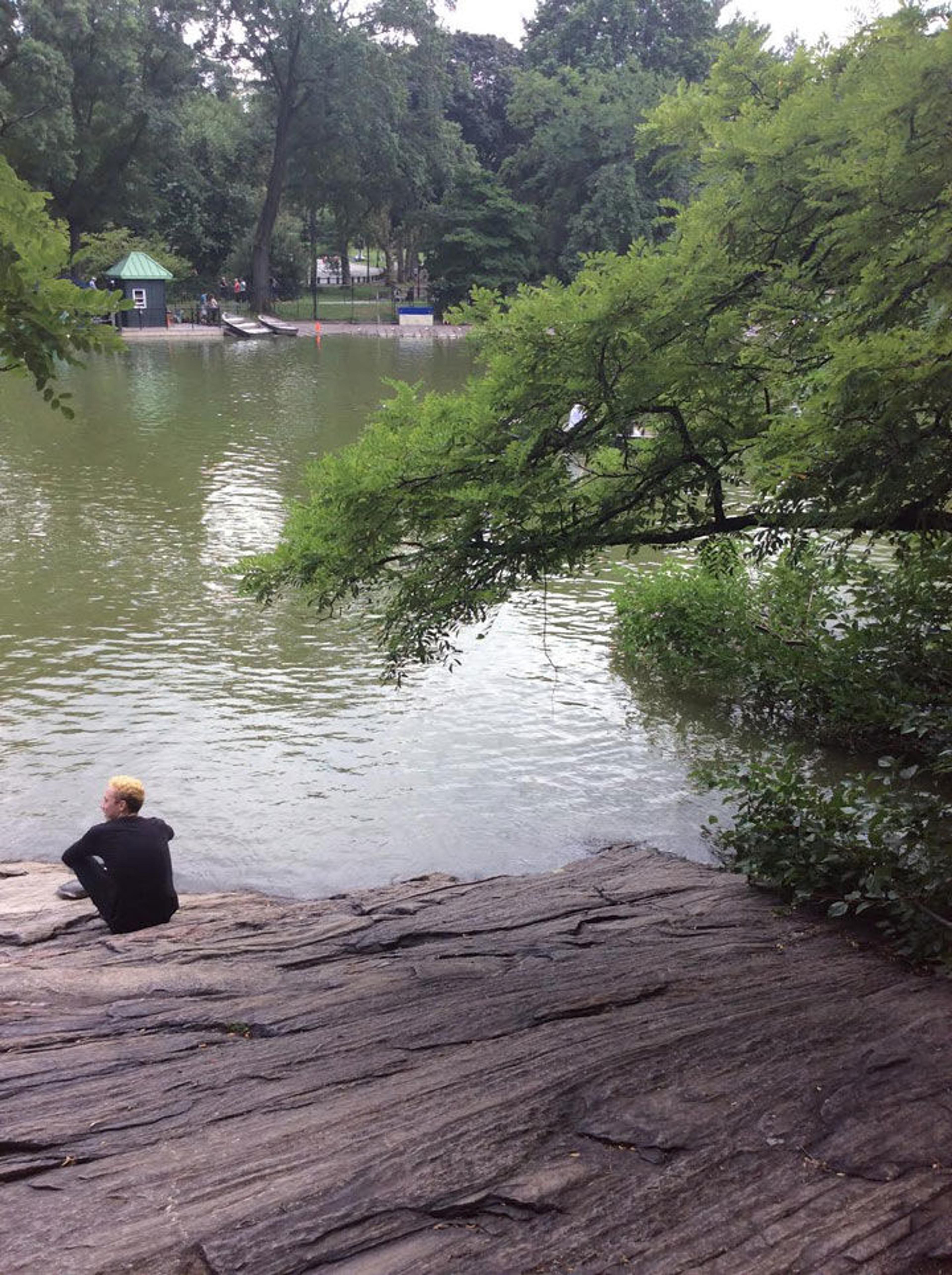 A person sitting on a rock by lake with a tree branch in the foreground