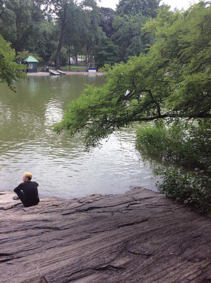 A person sitting on a rock by lake with a tree branch in the foreground