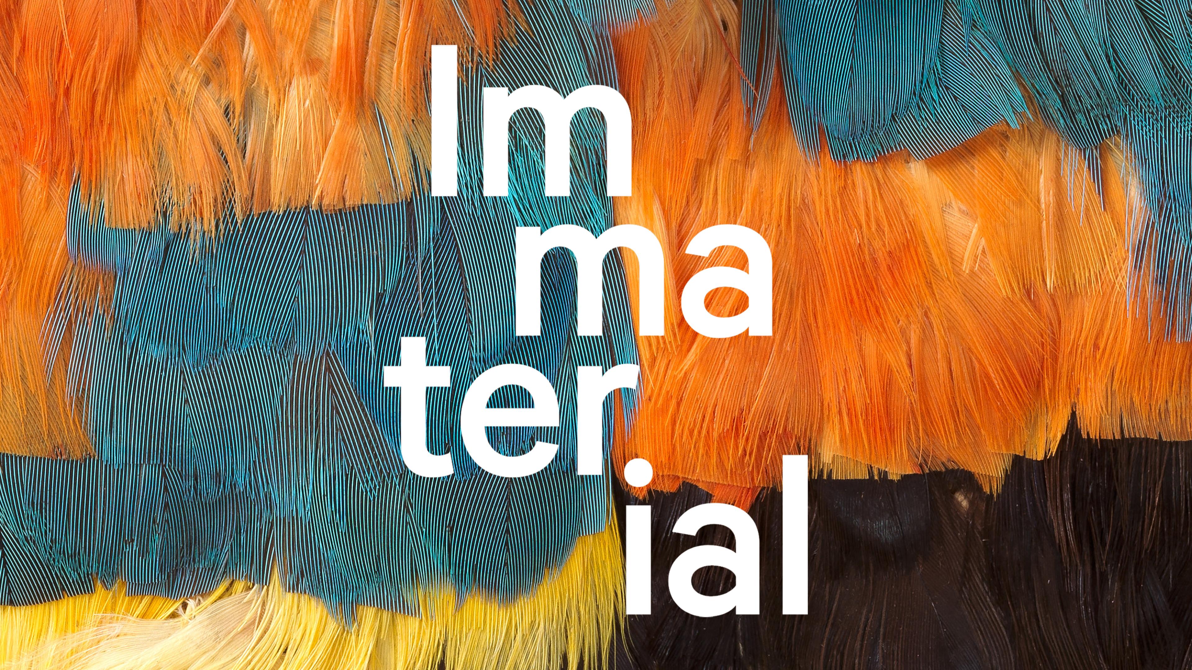 A close-up of vivid bird feathers in shades of orange, teal, yellow, and brown, with overlaid text that reads 'Immaterial,' with the letters staggered vertically.