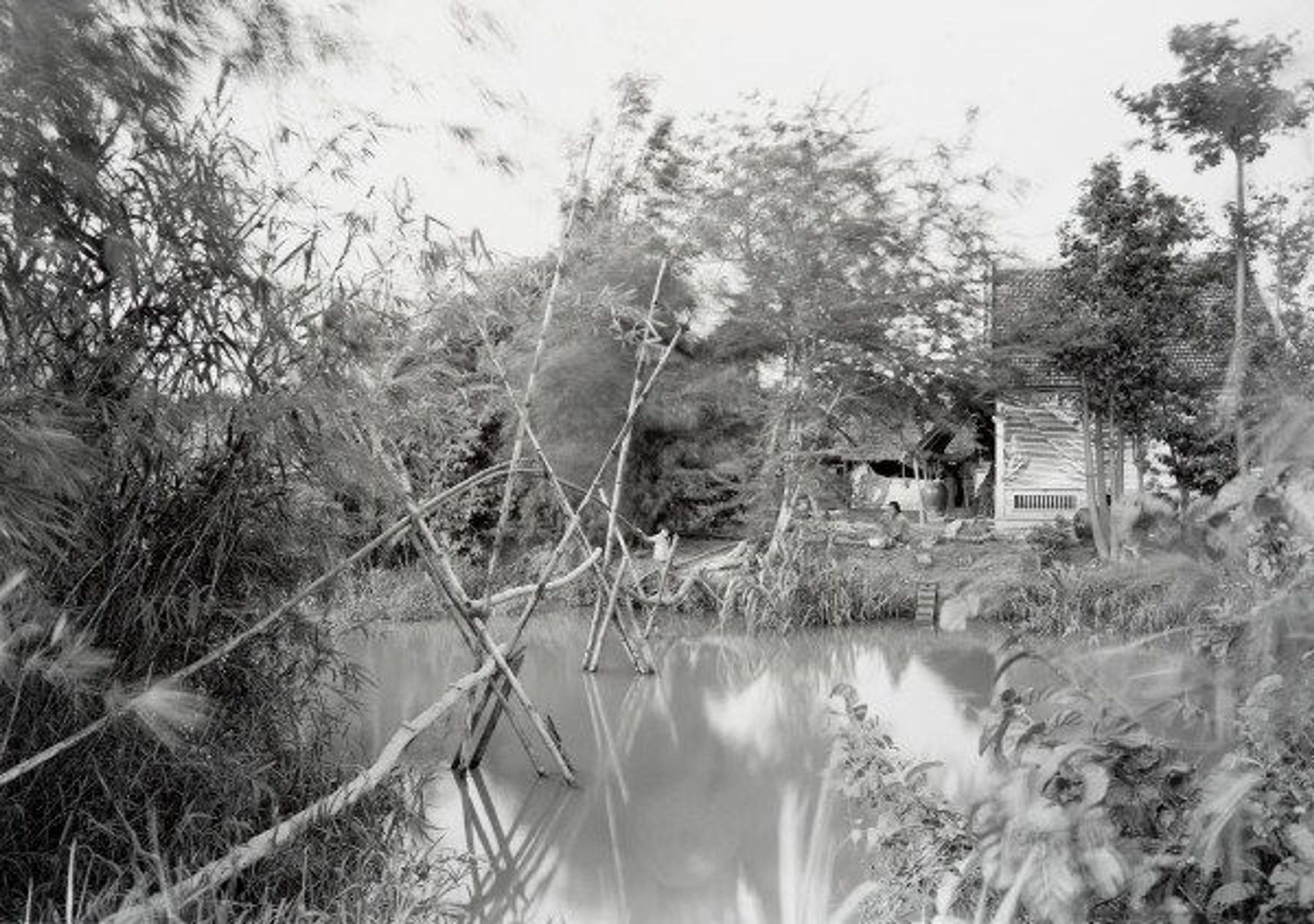 Black and white photograph of a swamp with bushes blurred by the wind in the foreground and a house in the background