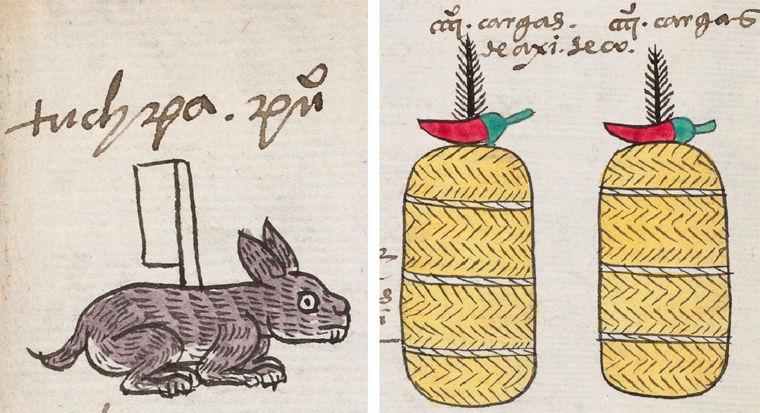 Details of a page from the Codex Mendoza: a rabbit with a white banner at left, and two chili peppers at right