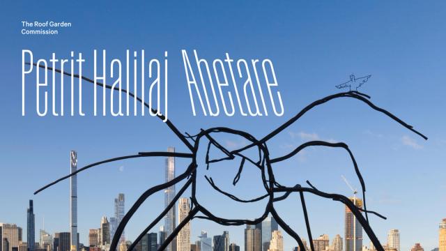 Blue text box that reads "The Roof Garden Commission" with the artist name, Petrit Halilaj