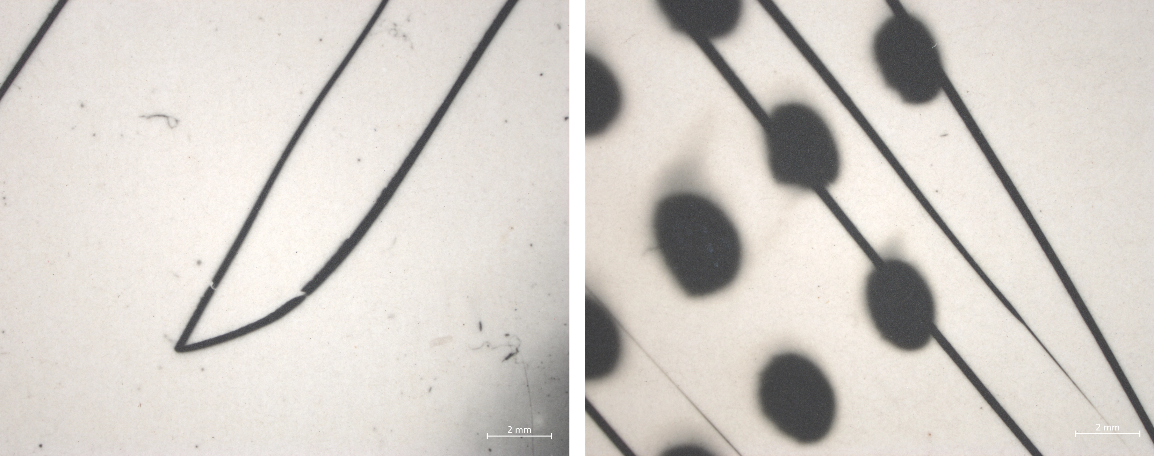 Two abstract black-and-white magnified images show thin, intersecting dark lines on a light background, with soft-edged black circular spots visible in the image on the right.