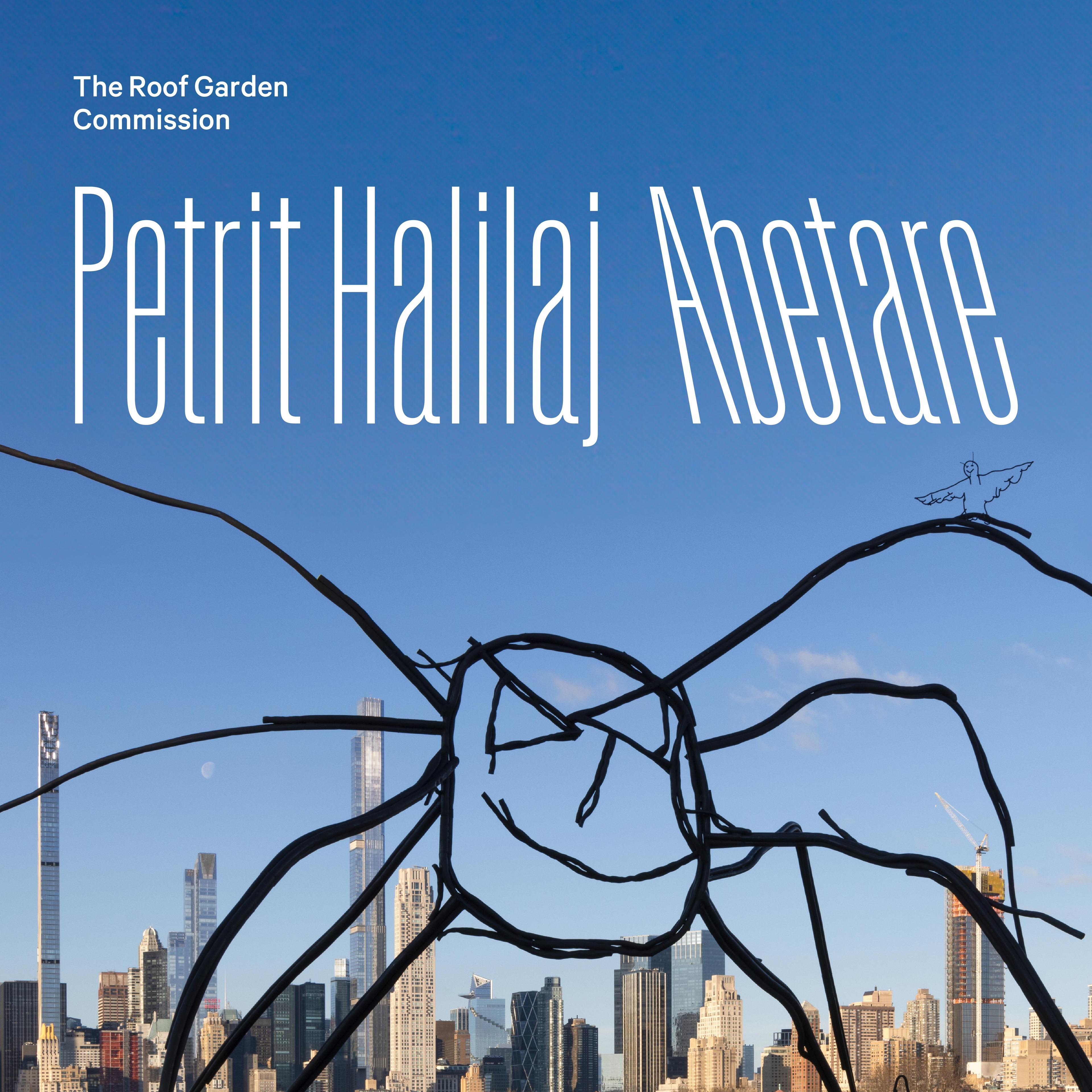 Blue text box that reads "The Roof Garden Commission" with the artist name, Petrit Halilaj
