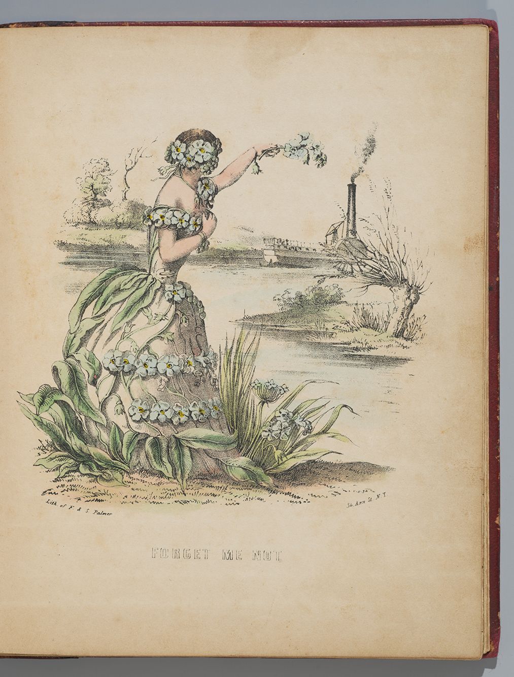Lithograph of a woman in a floral gown as a personified forget me not waves farewell to a steamship in the distance.