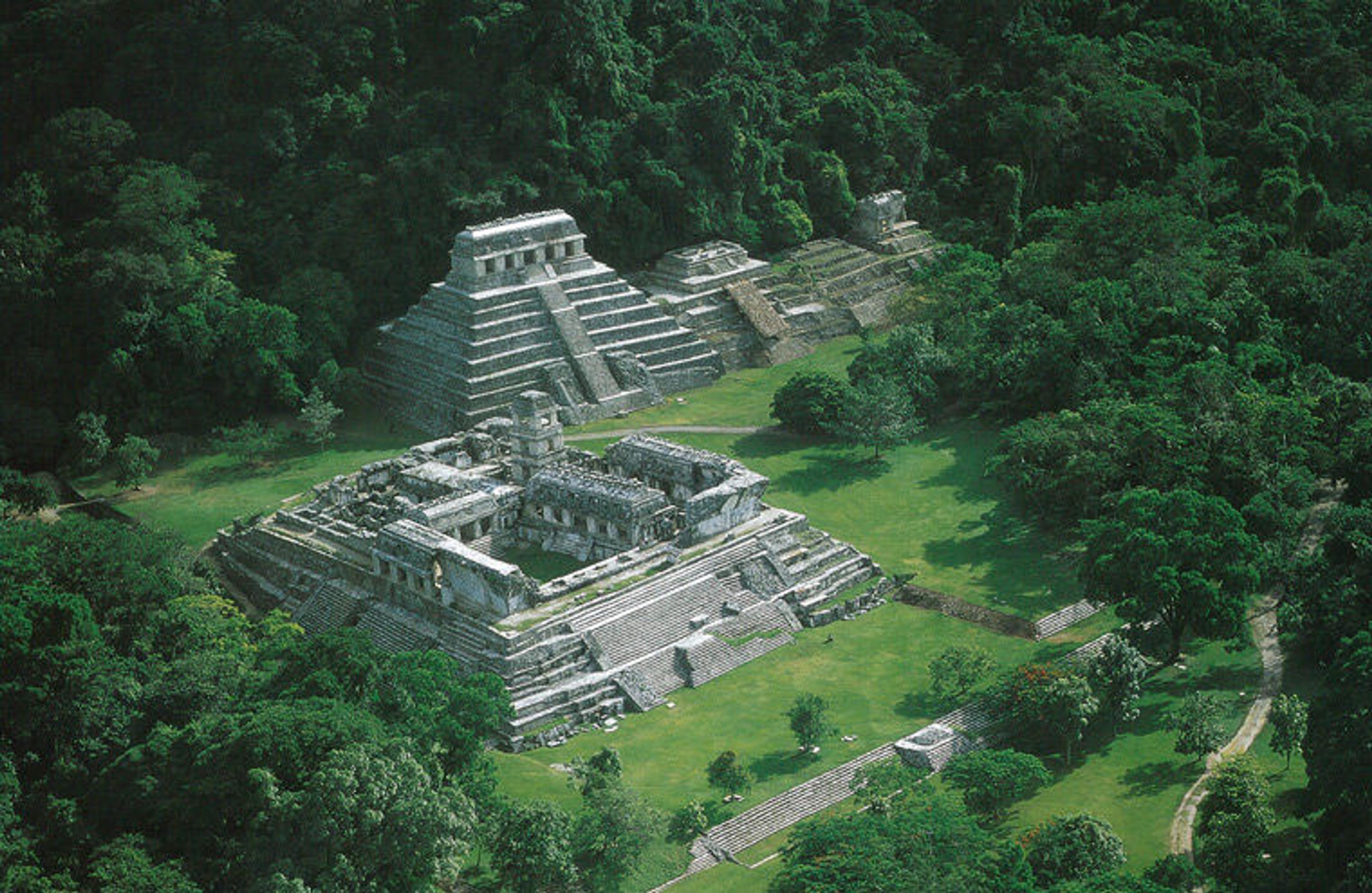 Aerial view of a Maya palace surrounded by forest