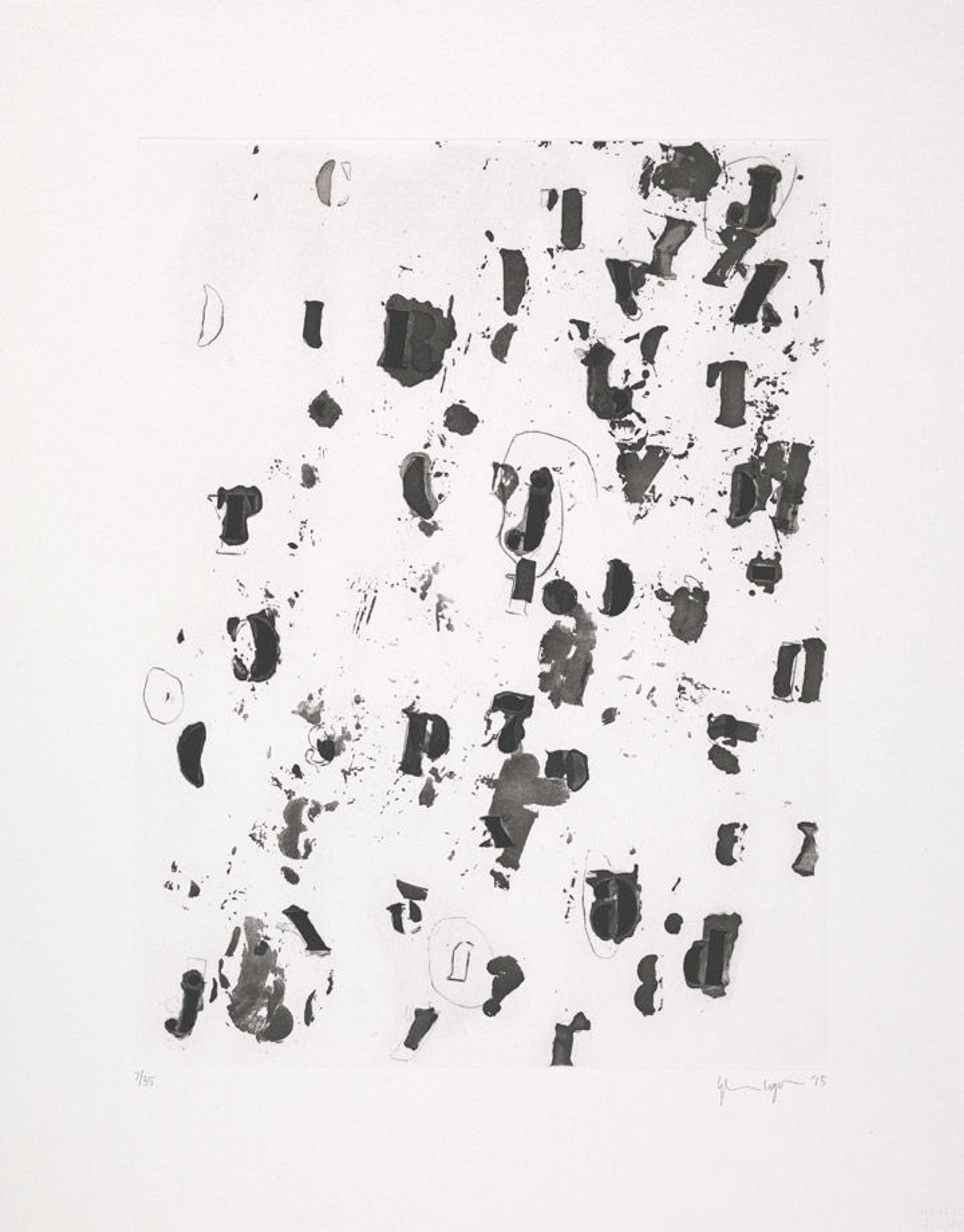 Glenn Ligon (American, born 1960). Debris Field II, 2015.