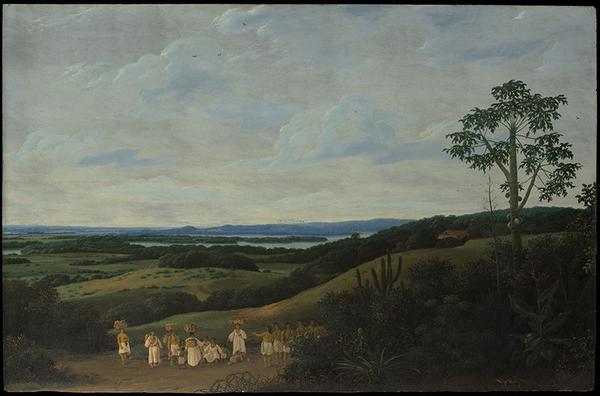 Cover Image for 5246. Frans Post, Brazilian Landscape
