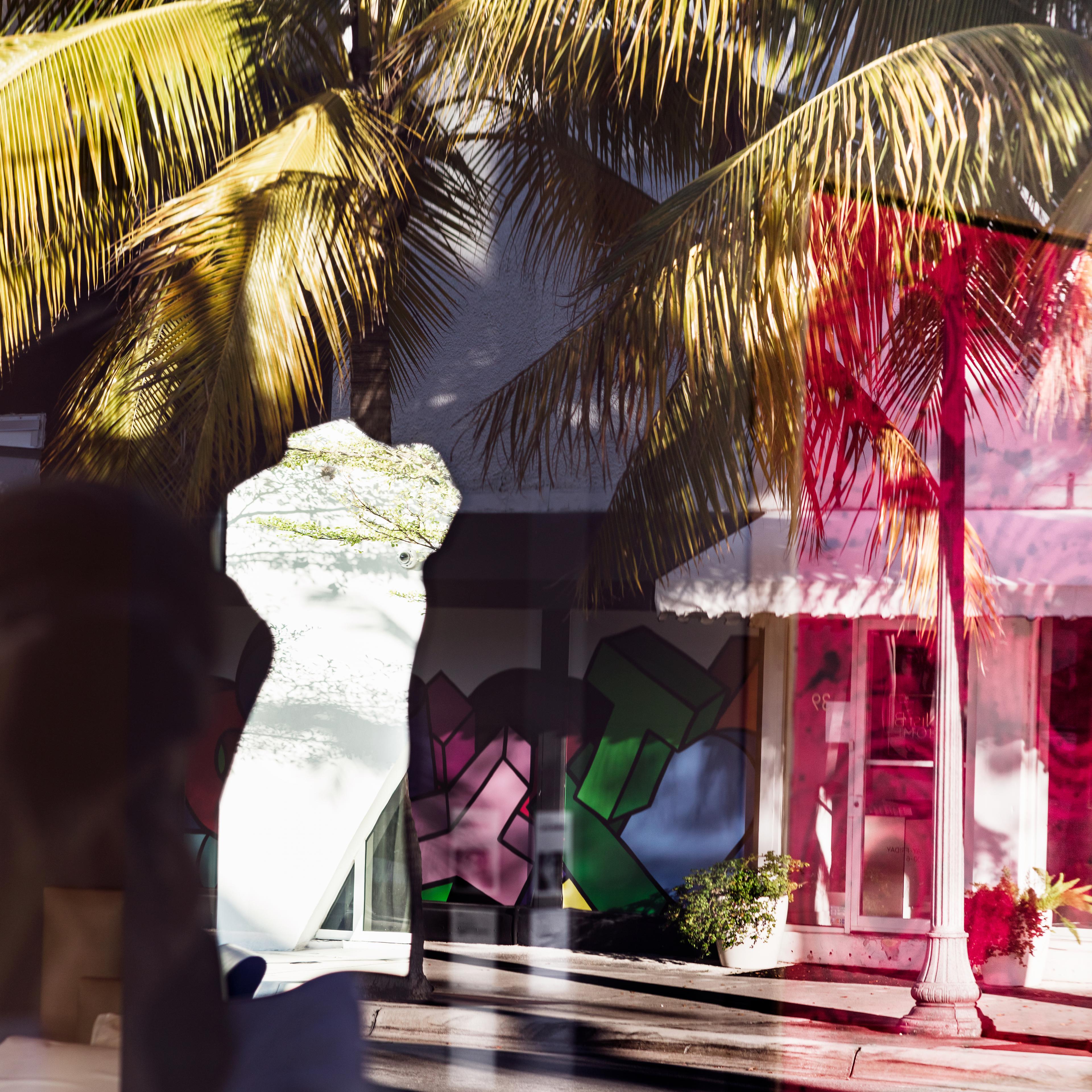 Collage image, of two store fronts on the right side of the image, on the right there is a silhouette shaped crop, along with palm trees overshadowing the back.