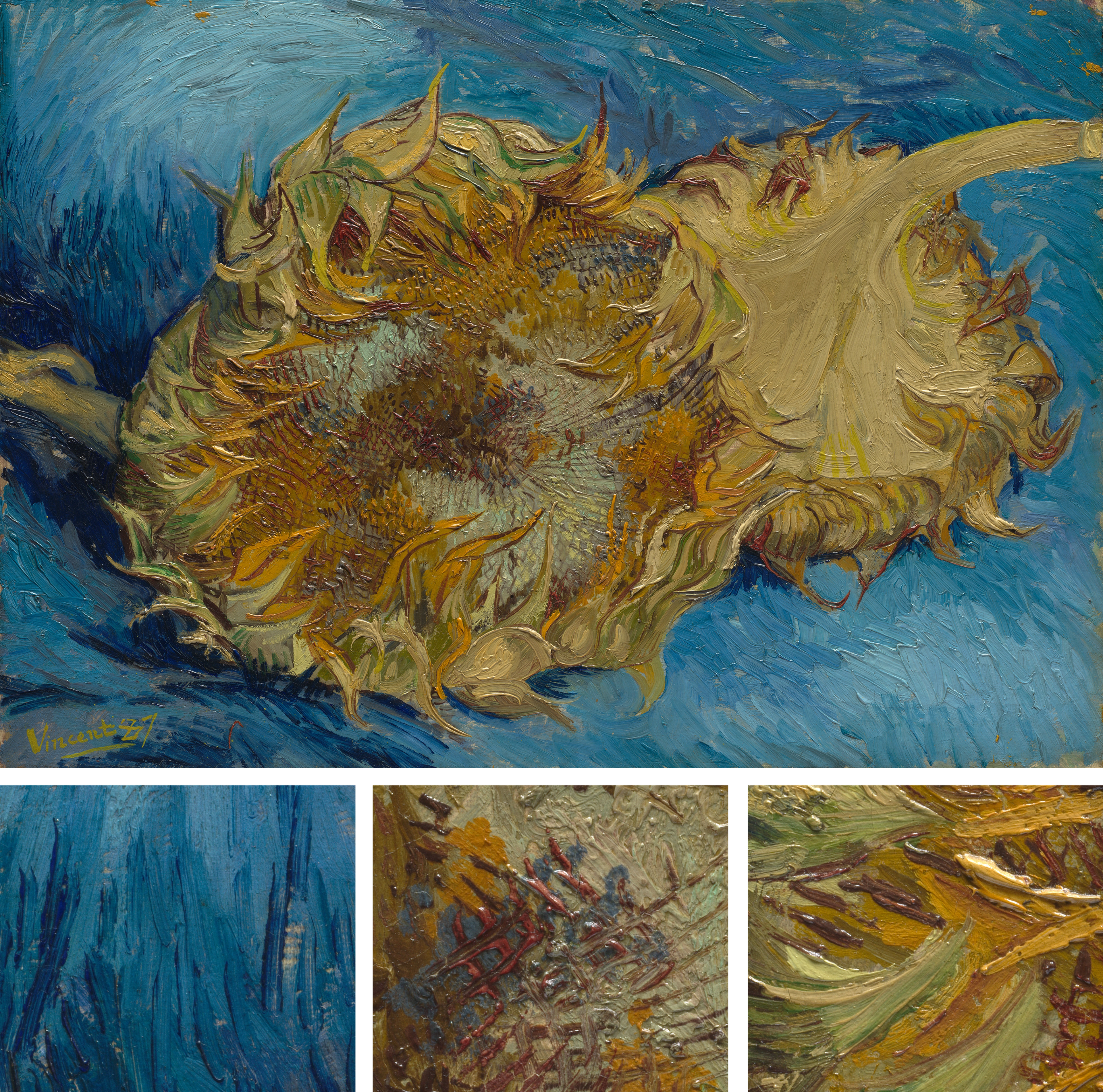Close-up painting of two sunflowers in wide, textured strokes against a blue background. Beneath it, a triptych of blue, red, and orange-green close-up swatches from Sunflowers.