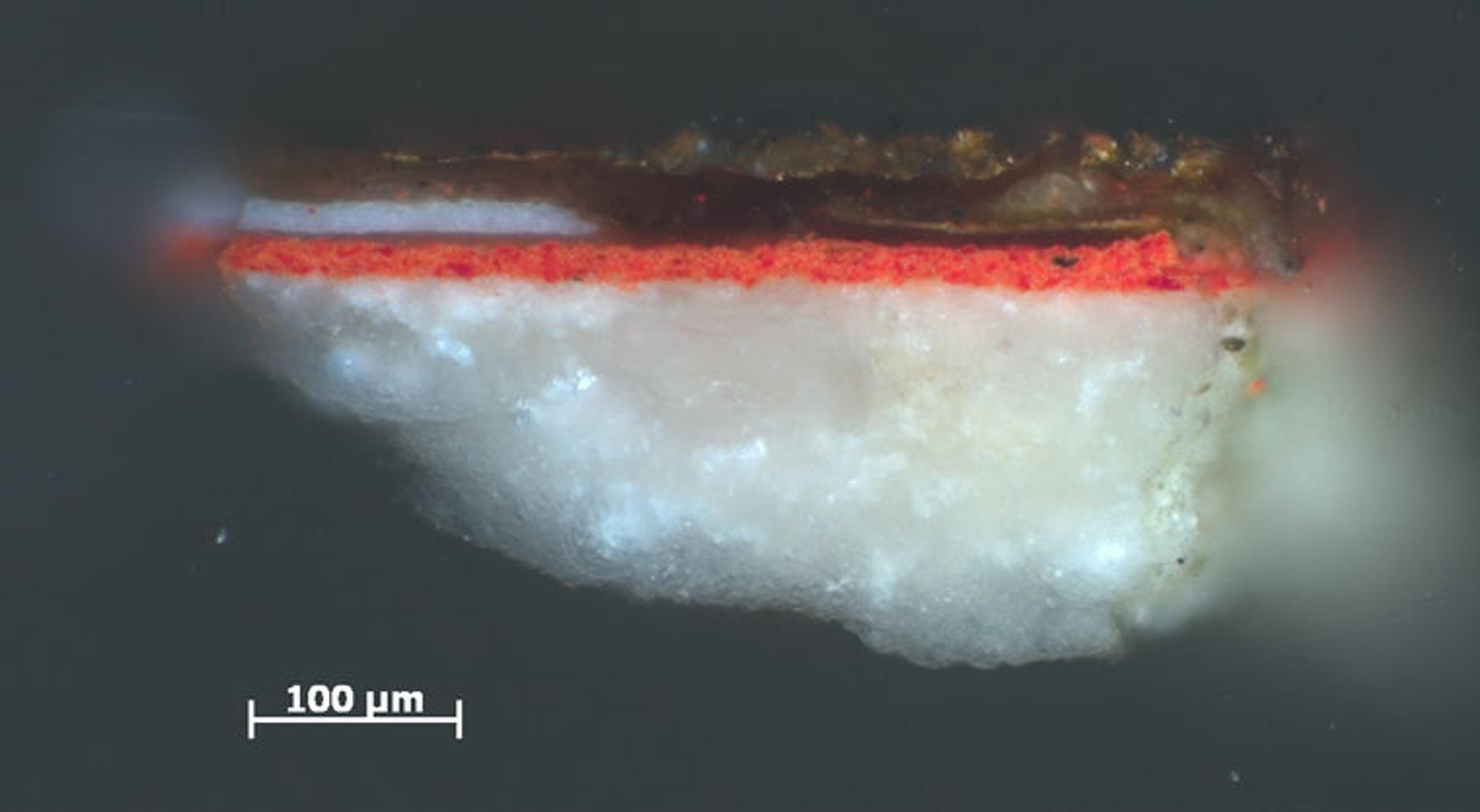 Microscopic cross-section of a Jan van Eyck frame showing the various material layers under 200x magnification