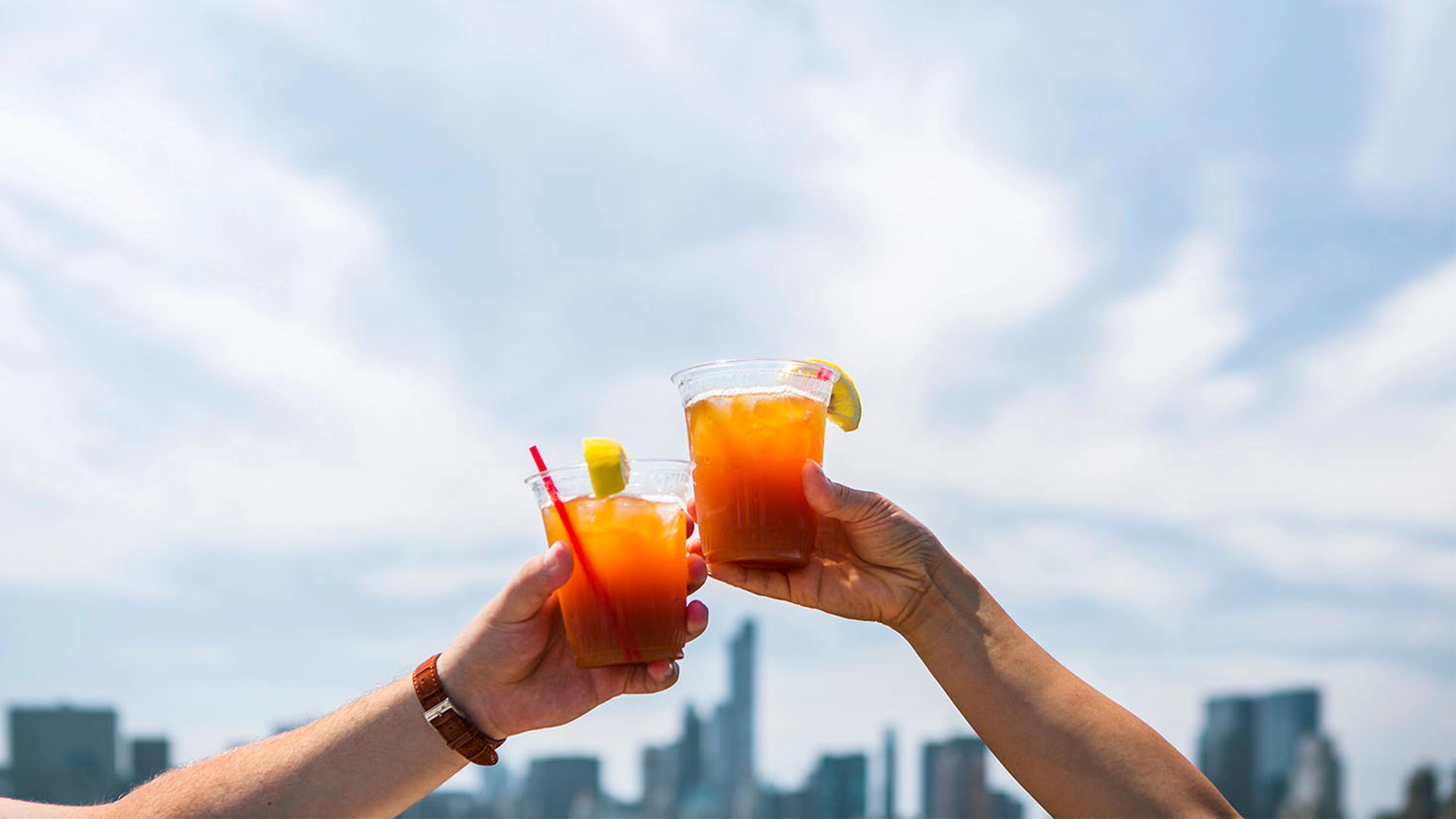 People clink glasses on The Canter Roof Garden Bar