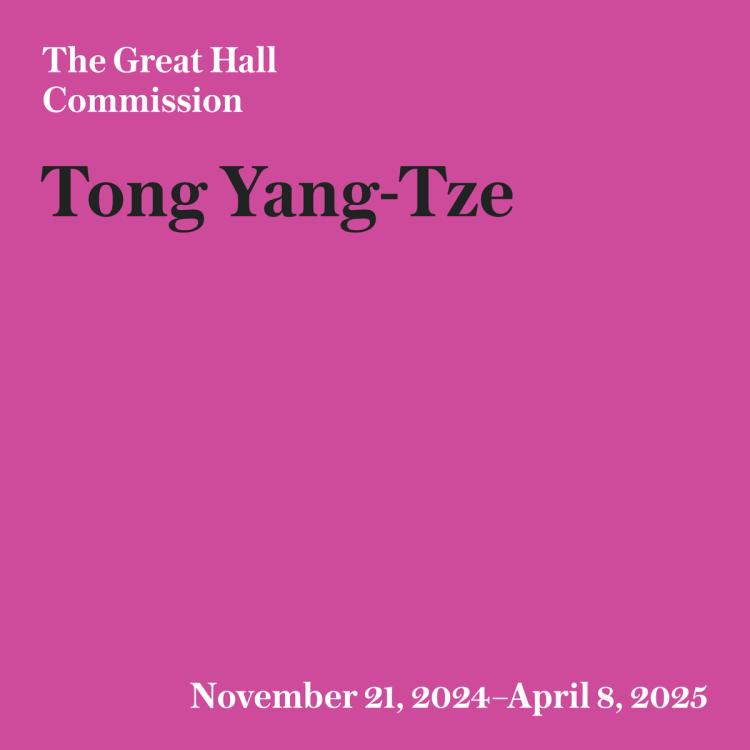 The Great Hall Commission Tong YangTze The Metropolitan Museum of Art