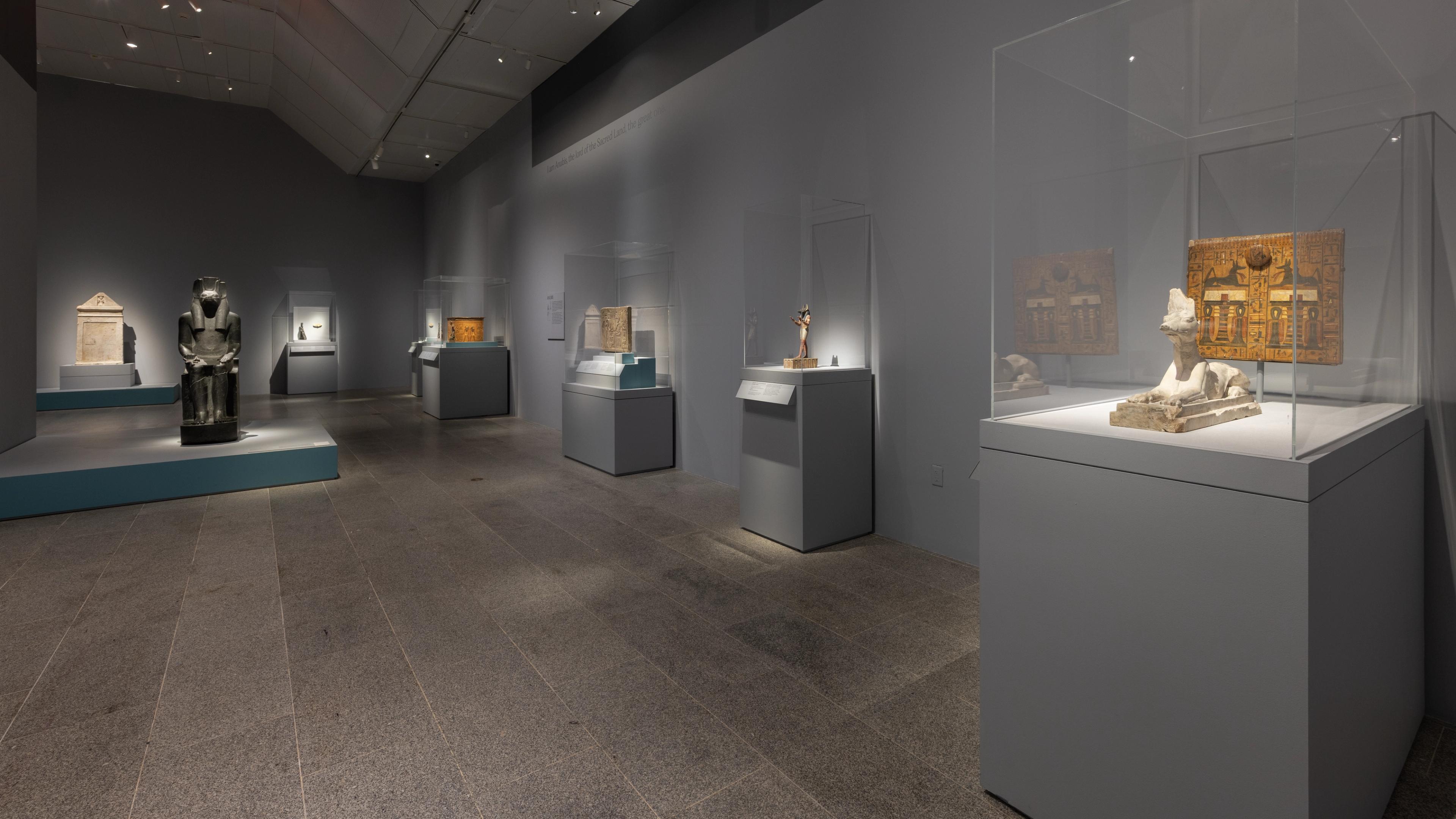 Gallery Installation shot with Egyptian artifacts
