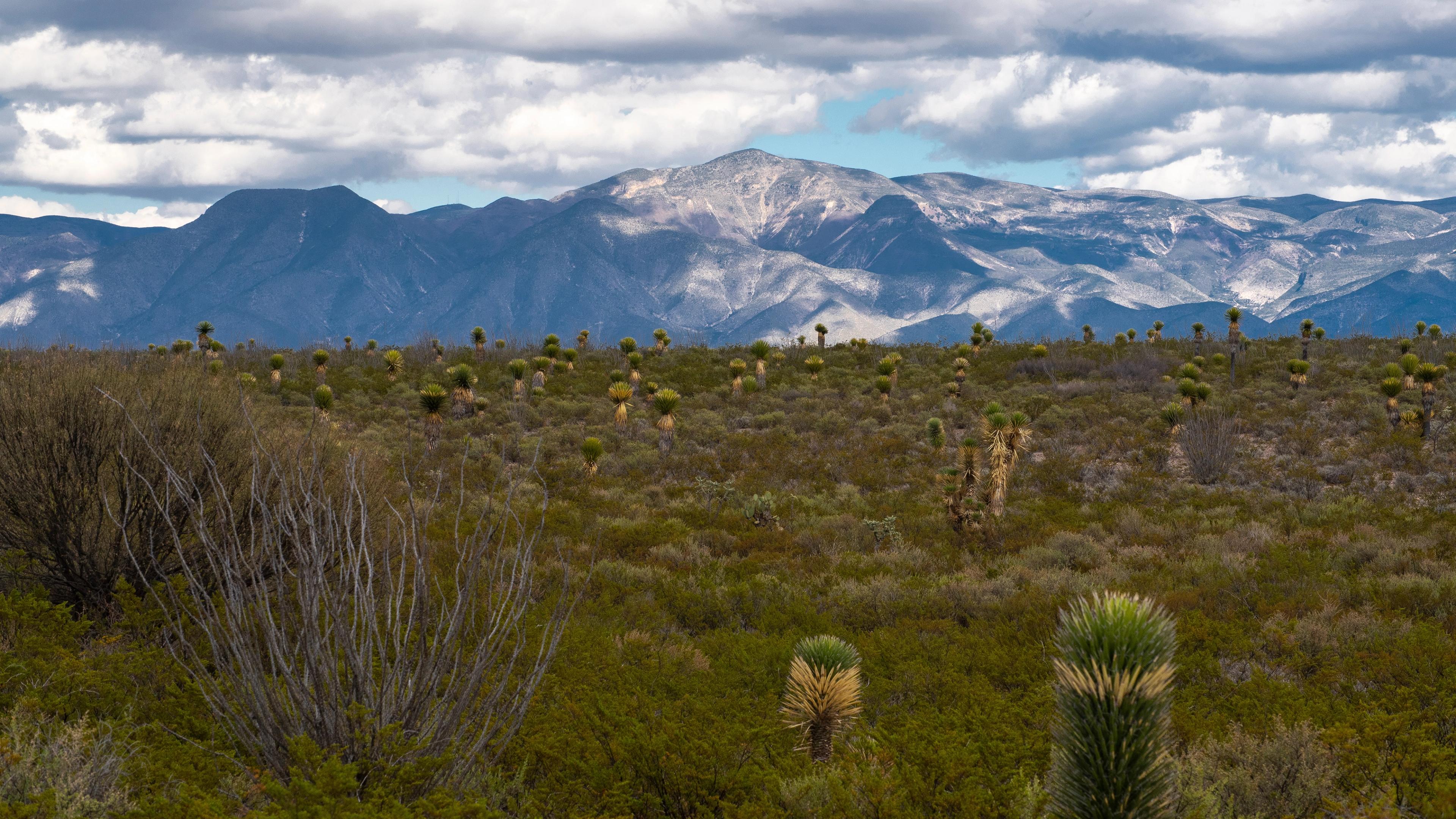 Scenic landscape with low green scrub and brush against blue-gray mountains cast in sunlight and shadows.