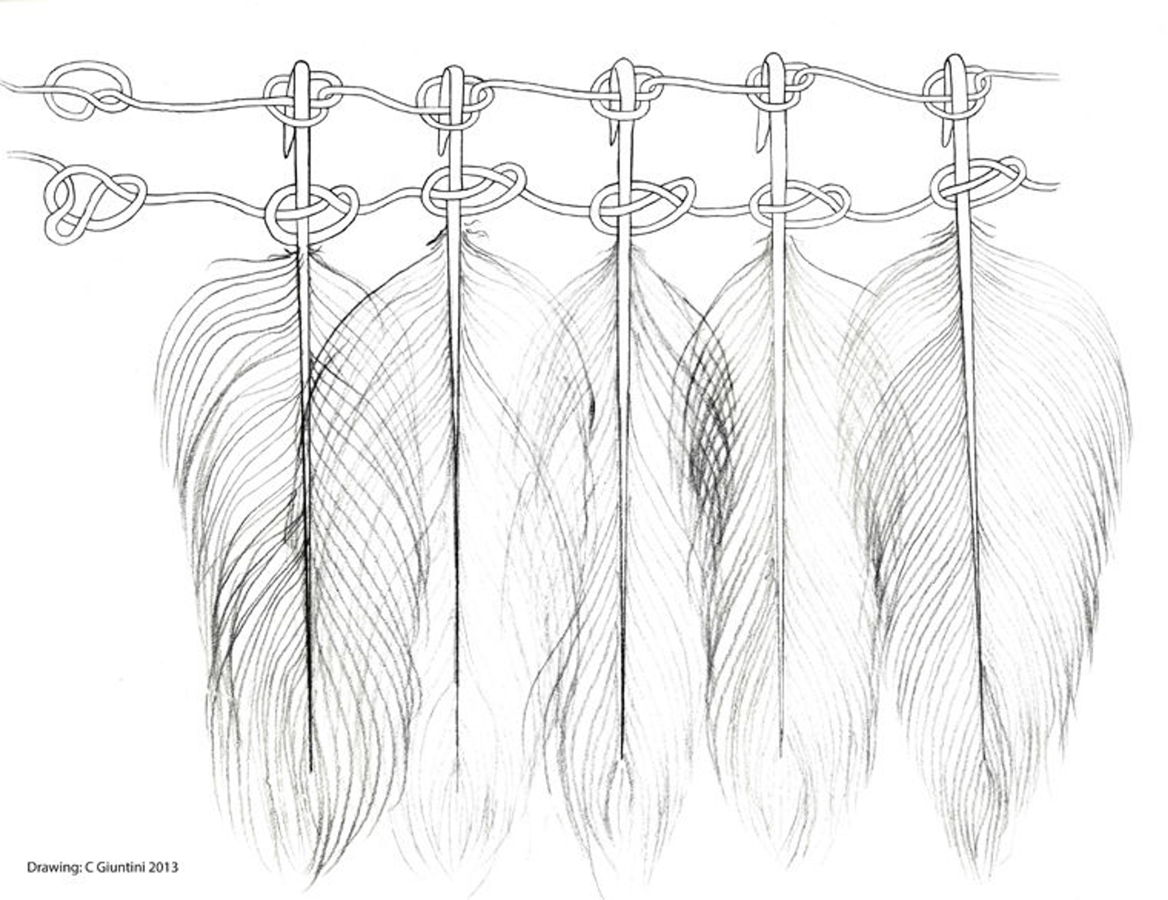 Line drawing of feathers attached to strings via hand-knots