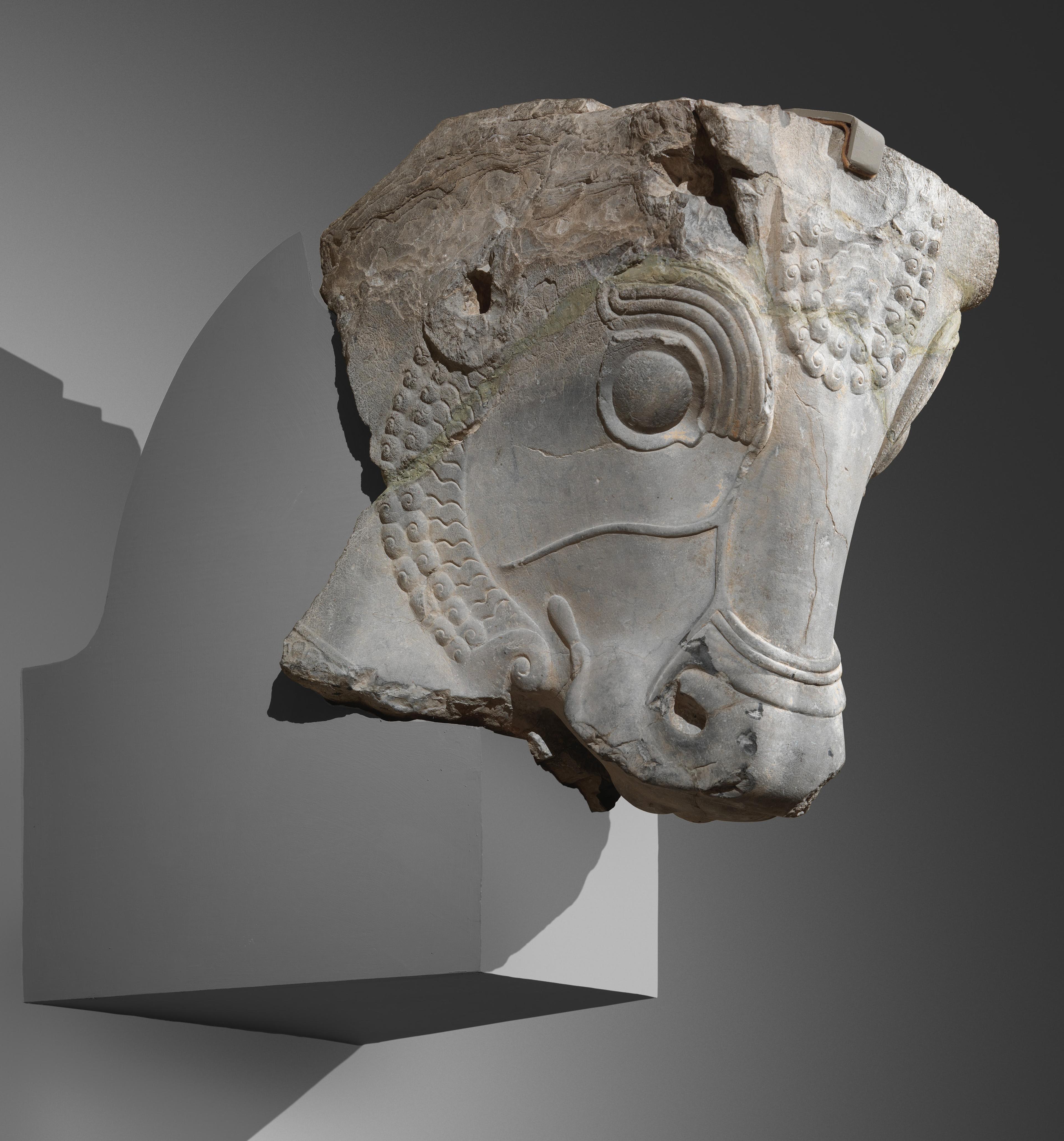 Limestone sculpture of a bull's head from a column capital from ancient Iran.